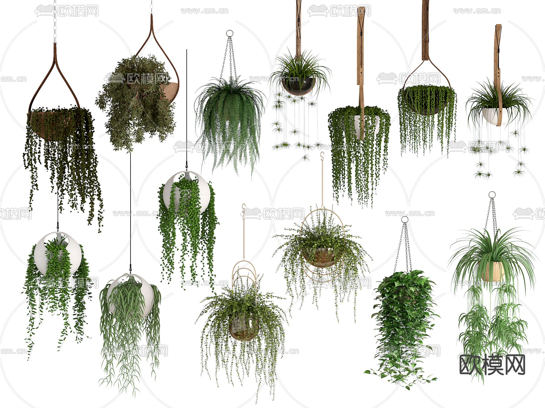 吊篮 吊兰 悬挂植物3d模型下载