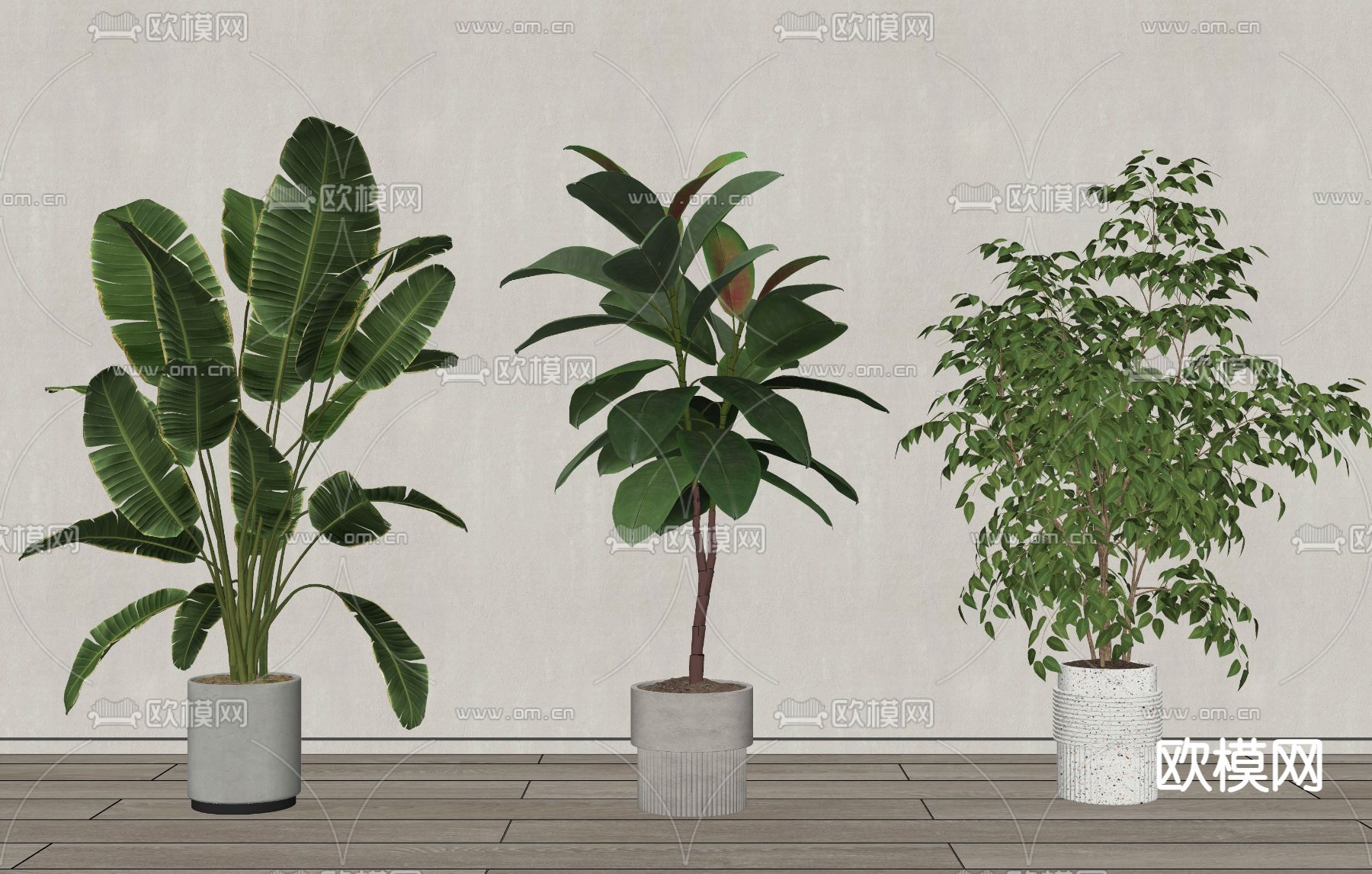 绿植盆栽su模型下载（渲染图1）