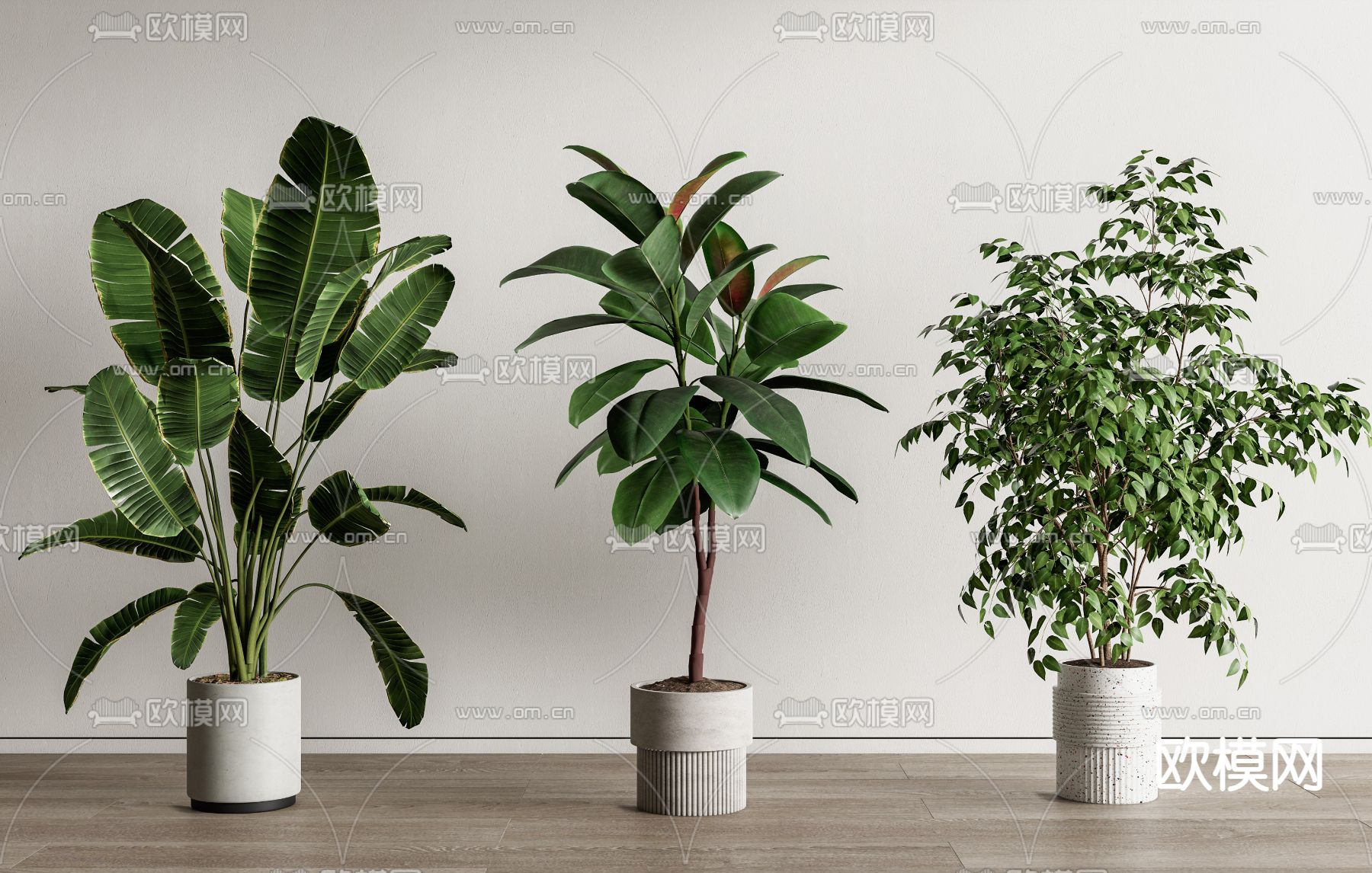 绿植盆栽su模型下载（渲染图2）