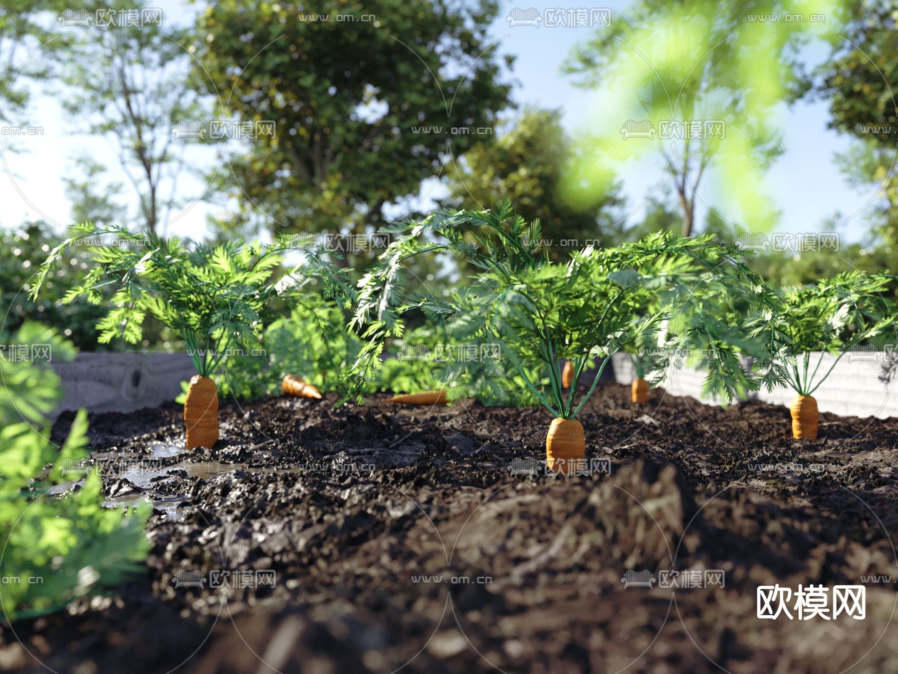 菜地 蔬菜园 果园 农作物3d模型下载（渲染图3）