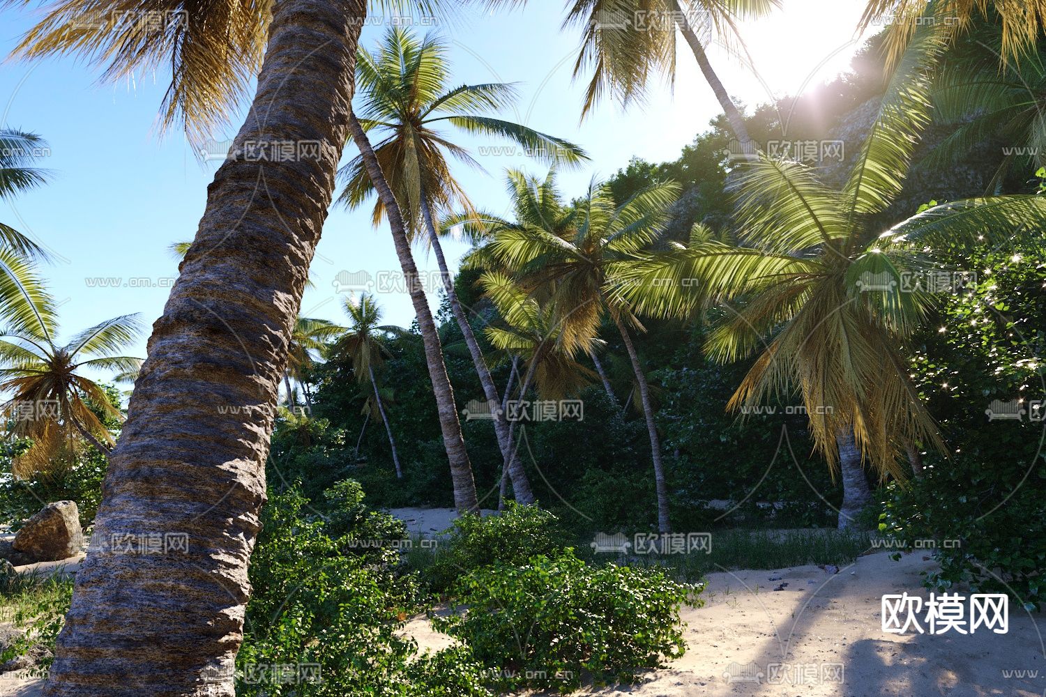 沙滩景观 椰子树 景观石3d模型下载（渲染图4）