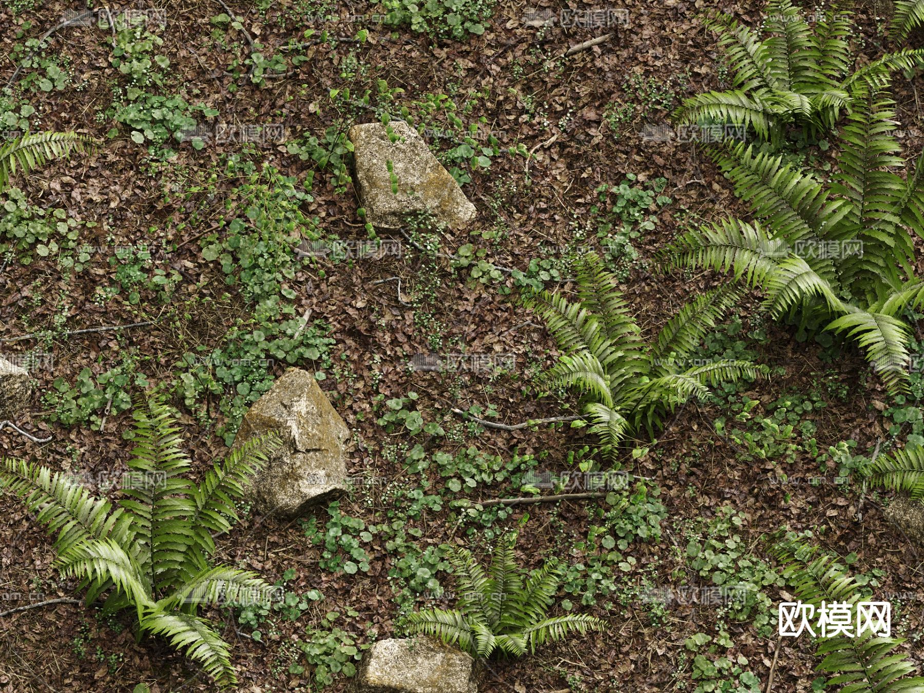 草地 草坪 花草 蕨类绿植3d模型下载（渲染图1）