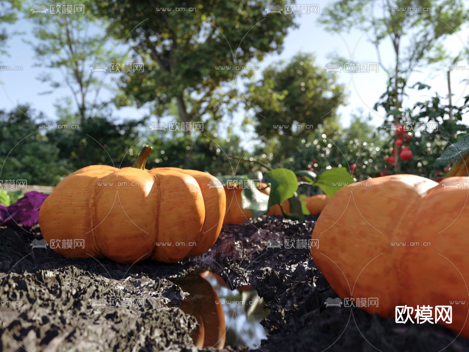 菜地 蔬菜园 果园 农作物3d模型下载（渲染图5）