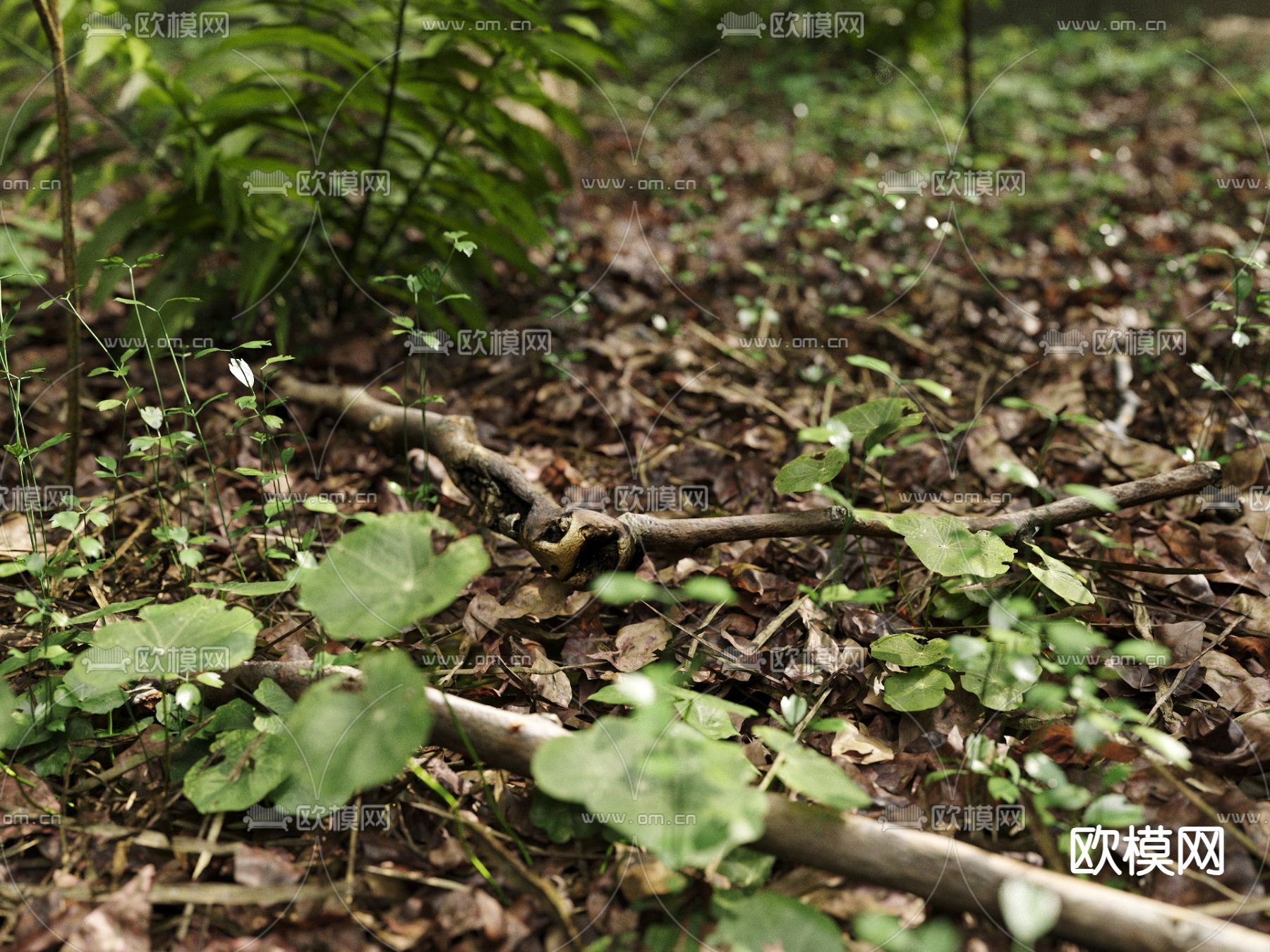 草地 草坪 花草 蕨类绿植3d模型下载（渲染图4）