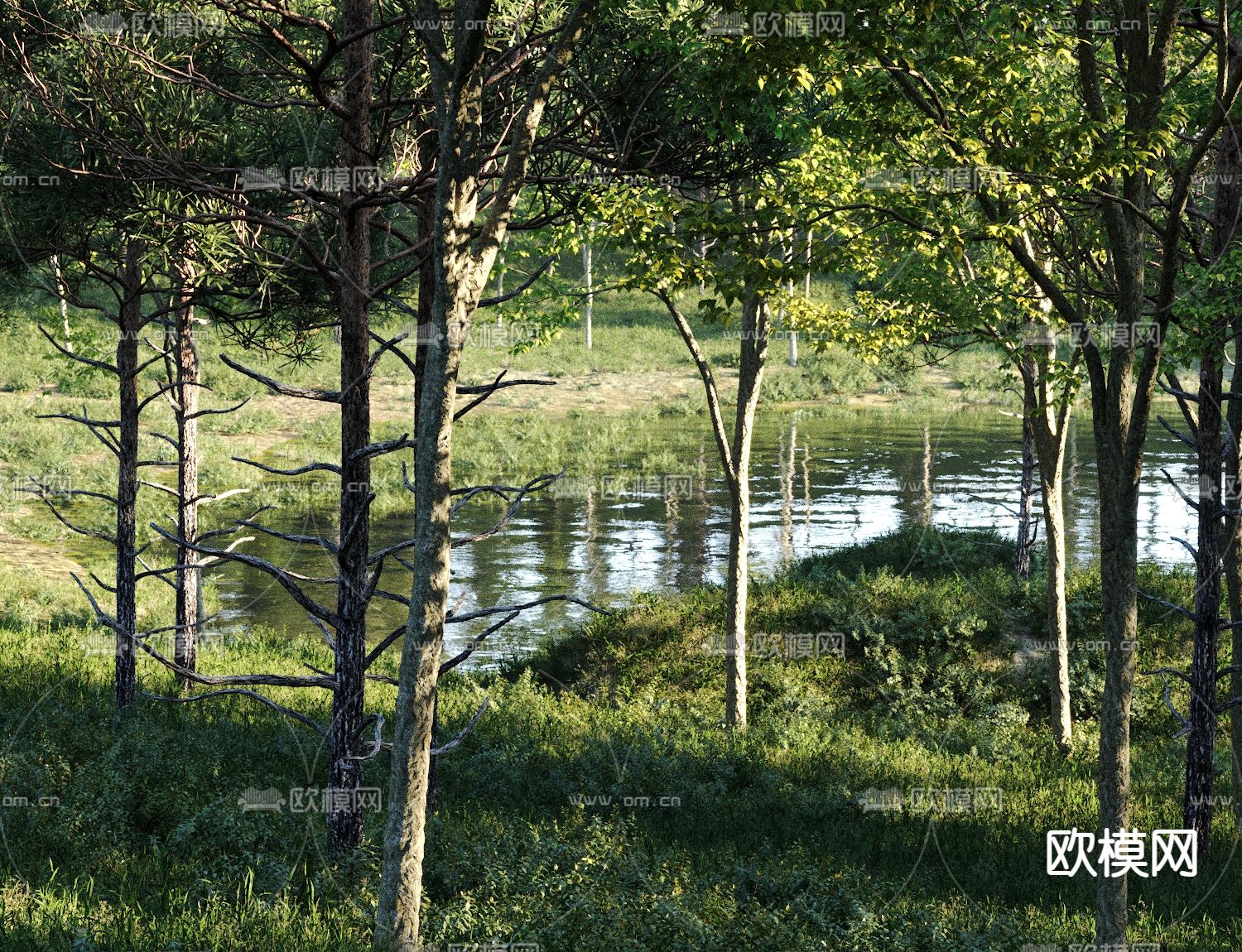 森林景观 山川河流 景观树3d模型下载（渲染图5）