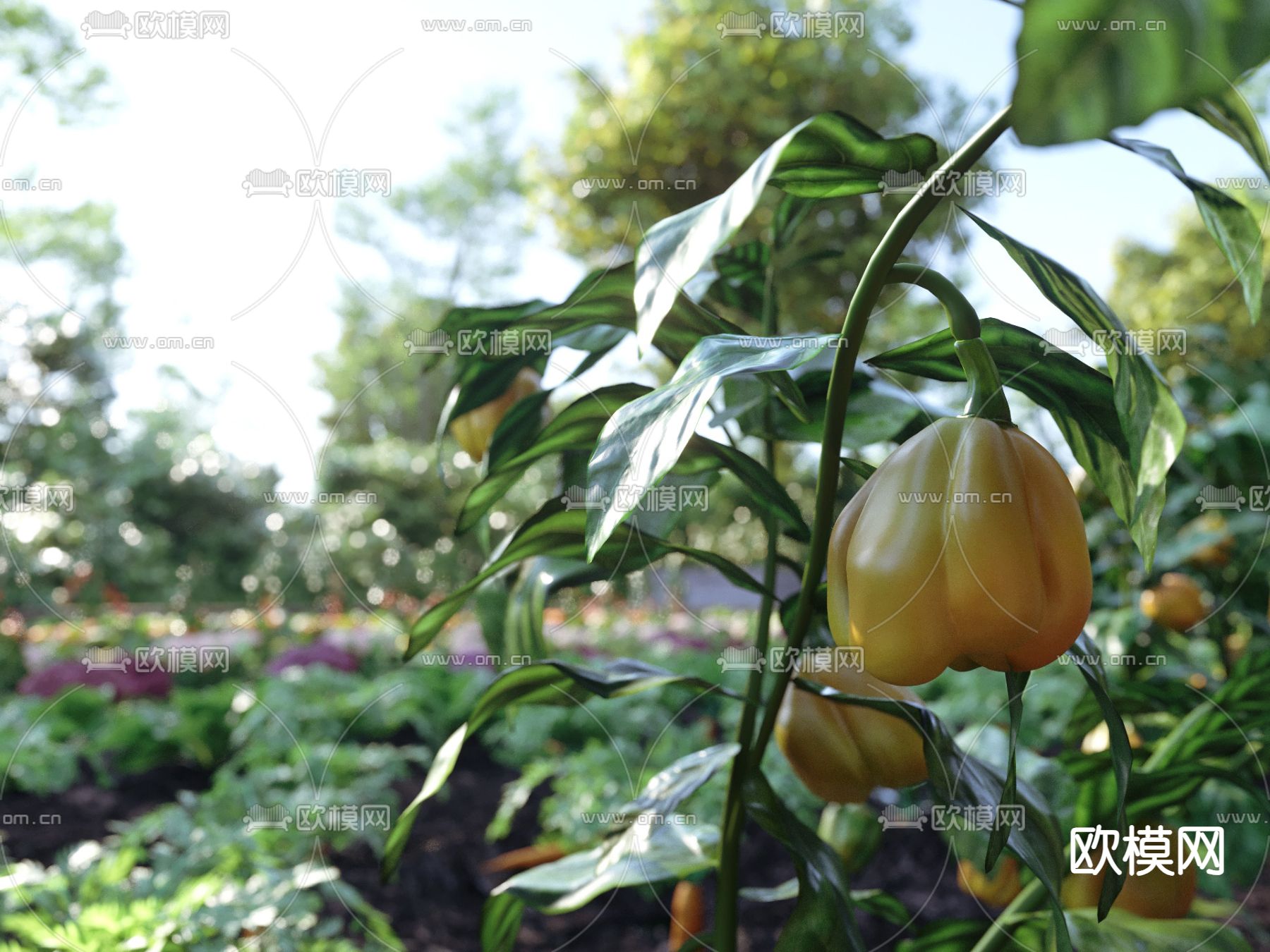 菜地 蔬菜园 果园 农作物3d模型下载（渲染图2）