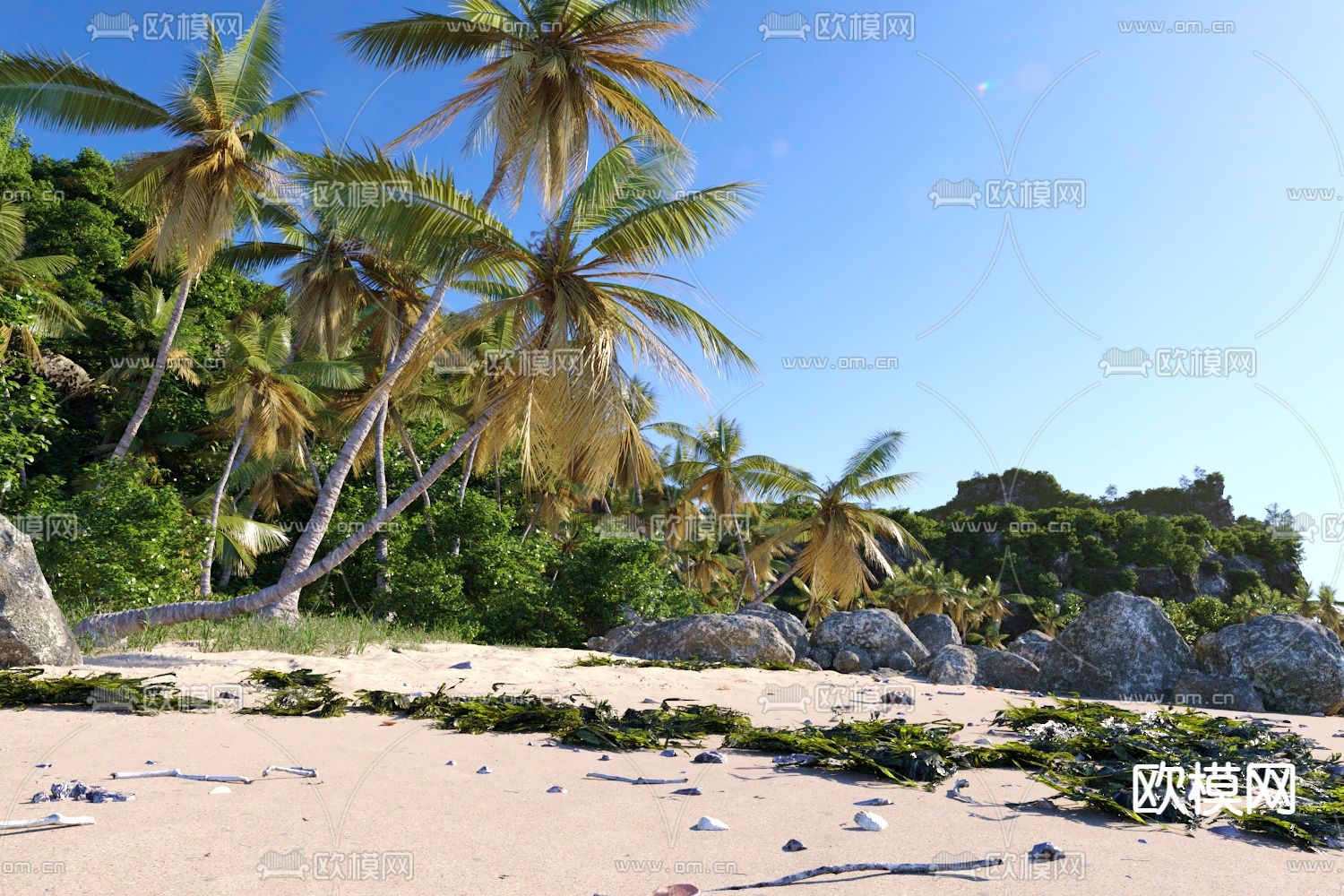 沙滩景观 椰子树 景观石3d模型下载（渲染图2）