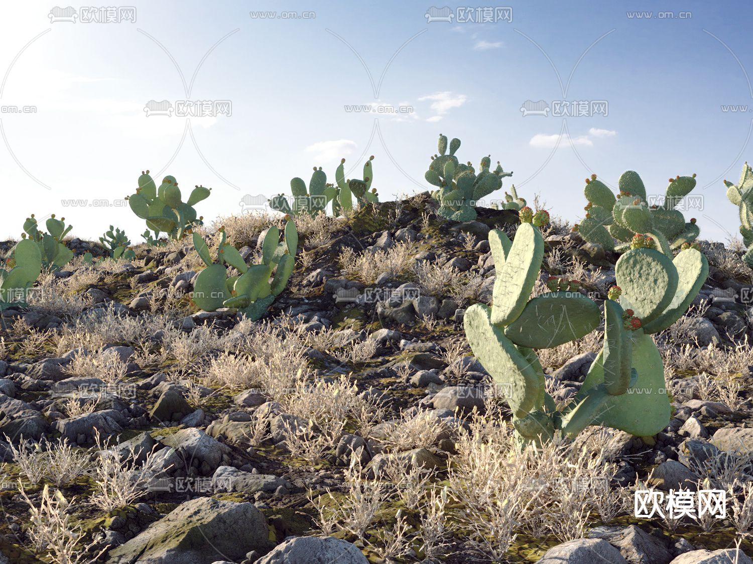 沙漠 荒地 草地 仙人掌3d模型下载（渲染图2）