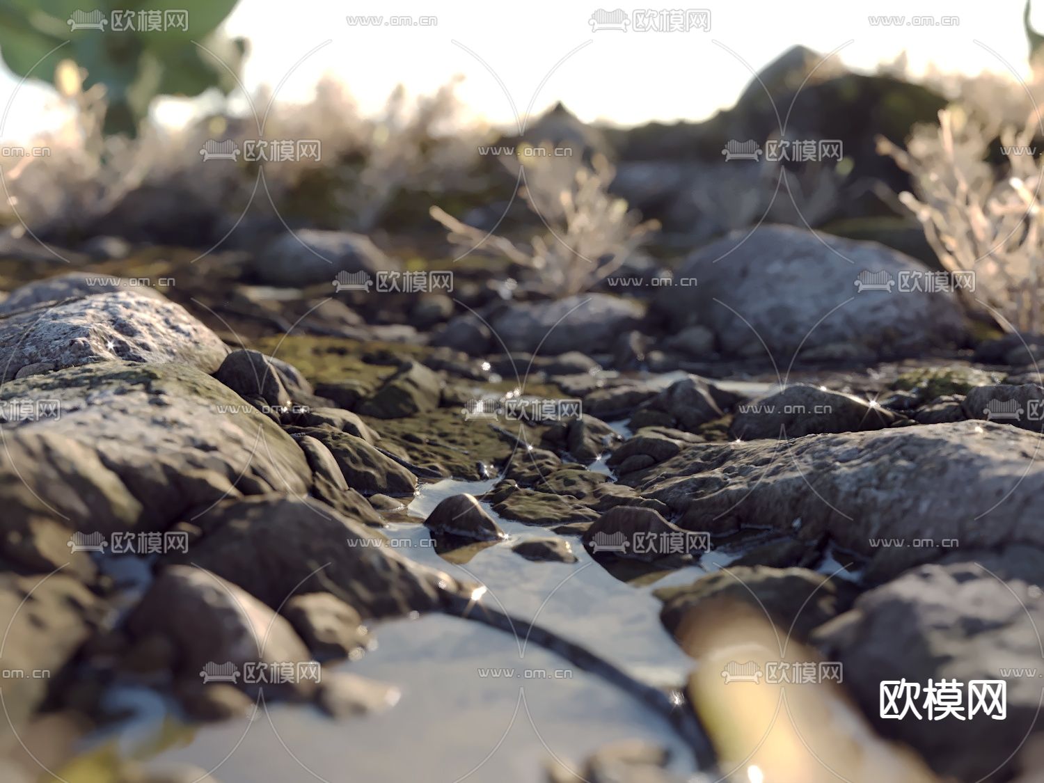 沙漠 荒地 草地 仙人掌3d模型下载（渲染图7）