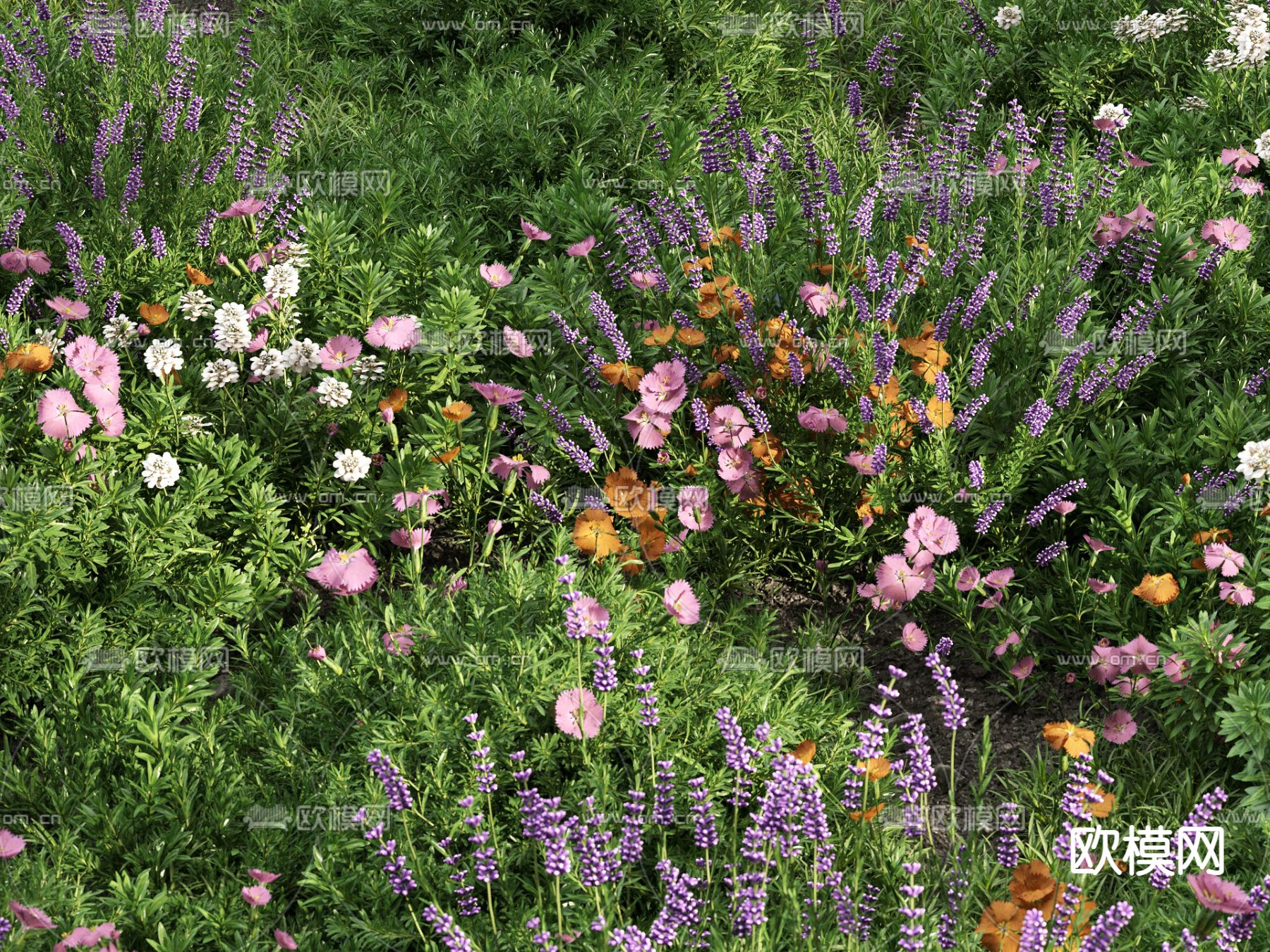 草地 草坪 绿茵 花草3d模型下载（渲染图1）