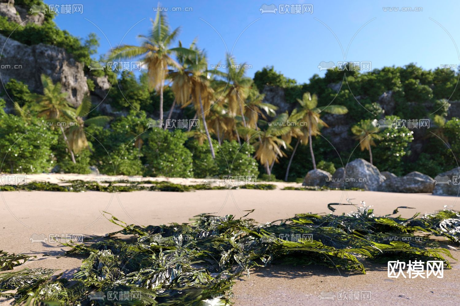 沙滩景观 椰子树 景观石3d模型下载（渲染图3）