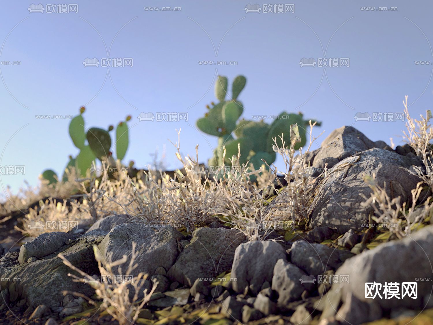 沙漠 荒地 草地 仙人掌3d模型下载（渲染图4）