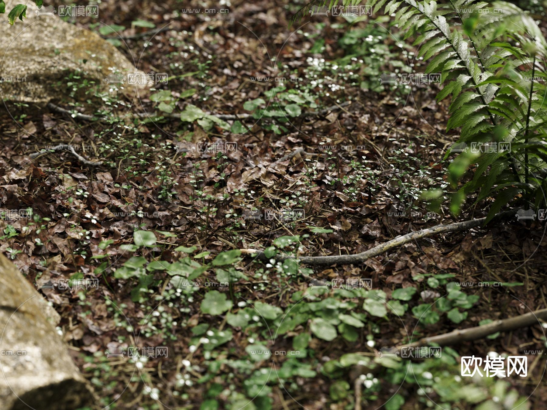 草地 草坪 花草 蕨类绿植3d模型下载（渲染图2）