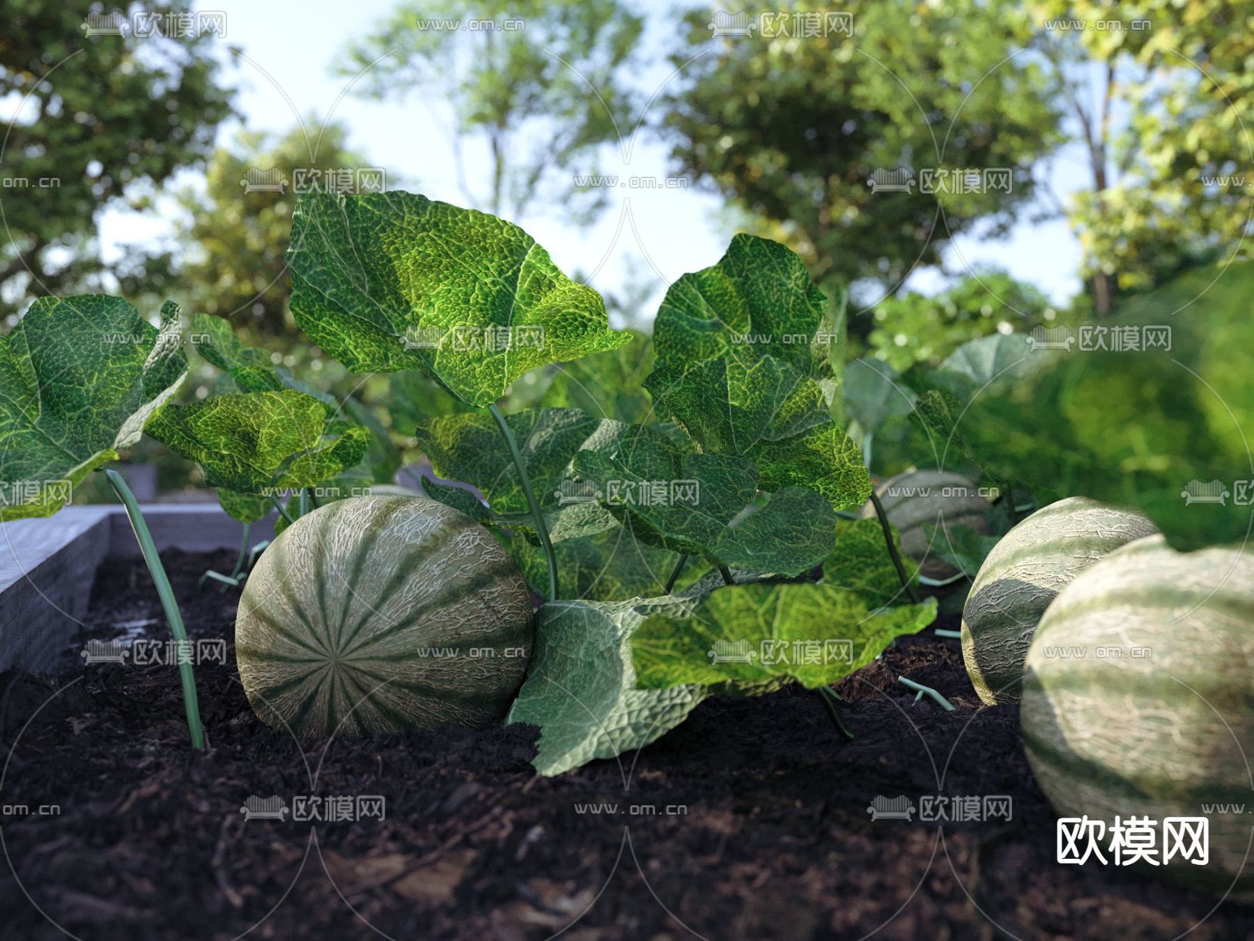 菜地 蔬菜园 果园 农作物3d模型下载（渲染图1）