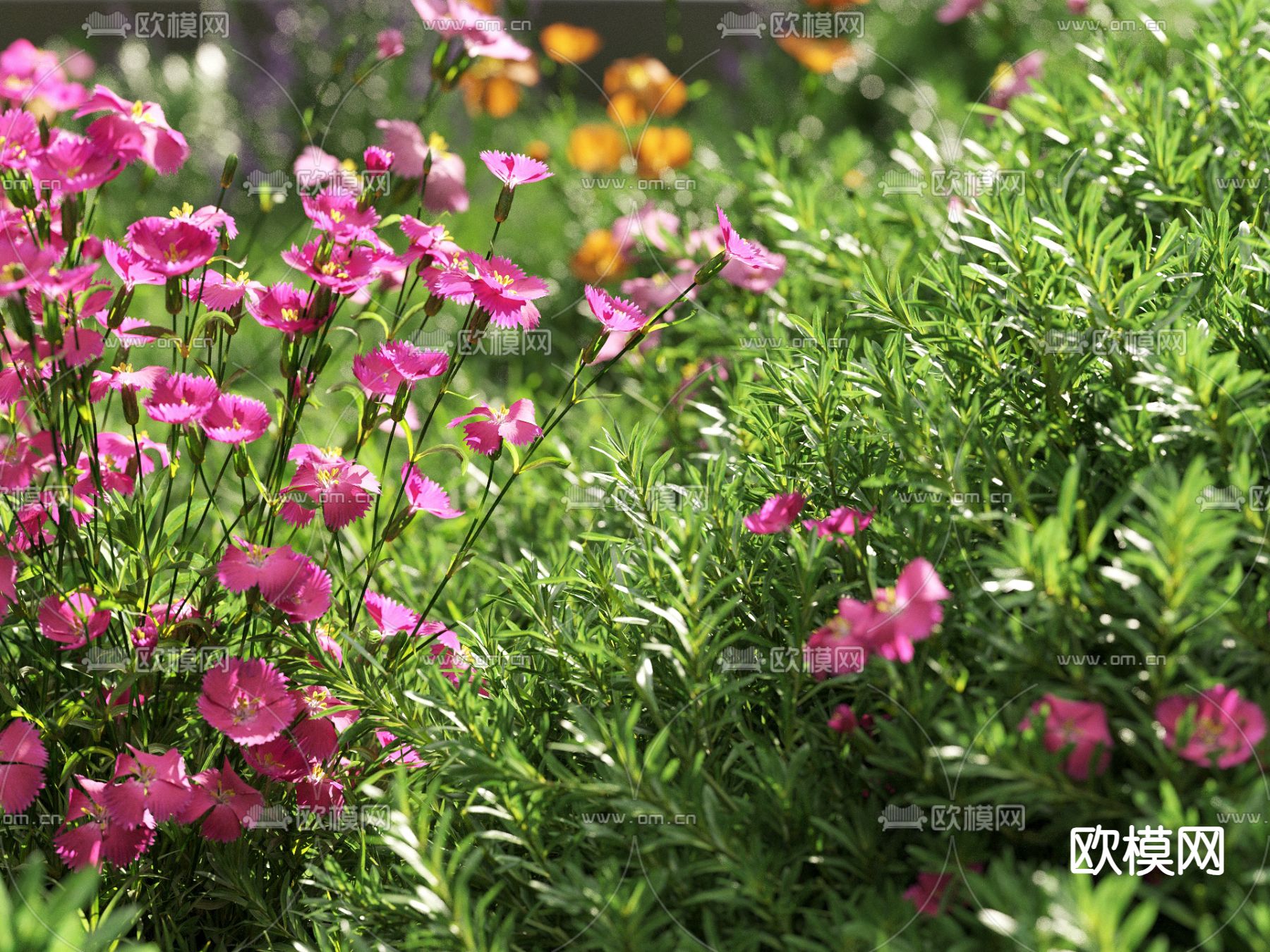 草地 草坪 绿茵 花草3d模型下载（渲染图4）