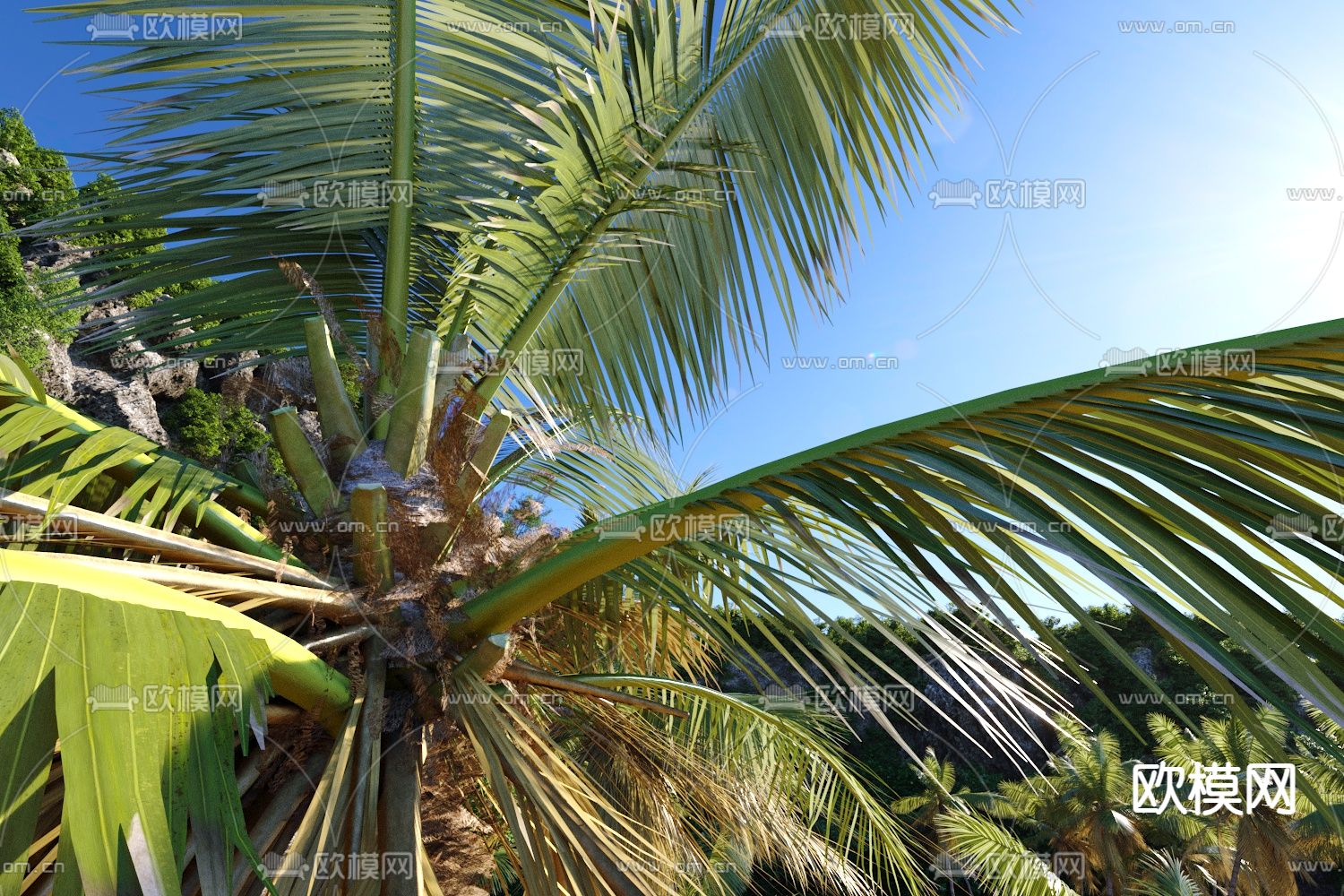 沙滩景观 椰子树 景观石3d模型下载（渲染图3）