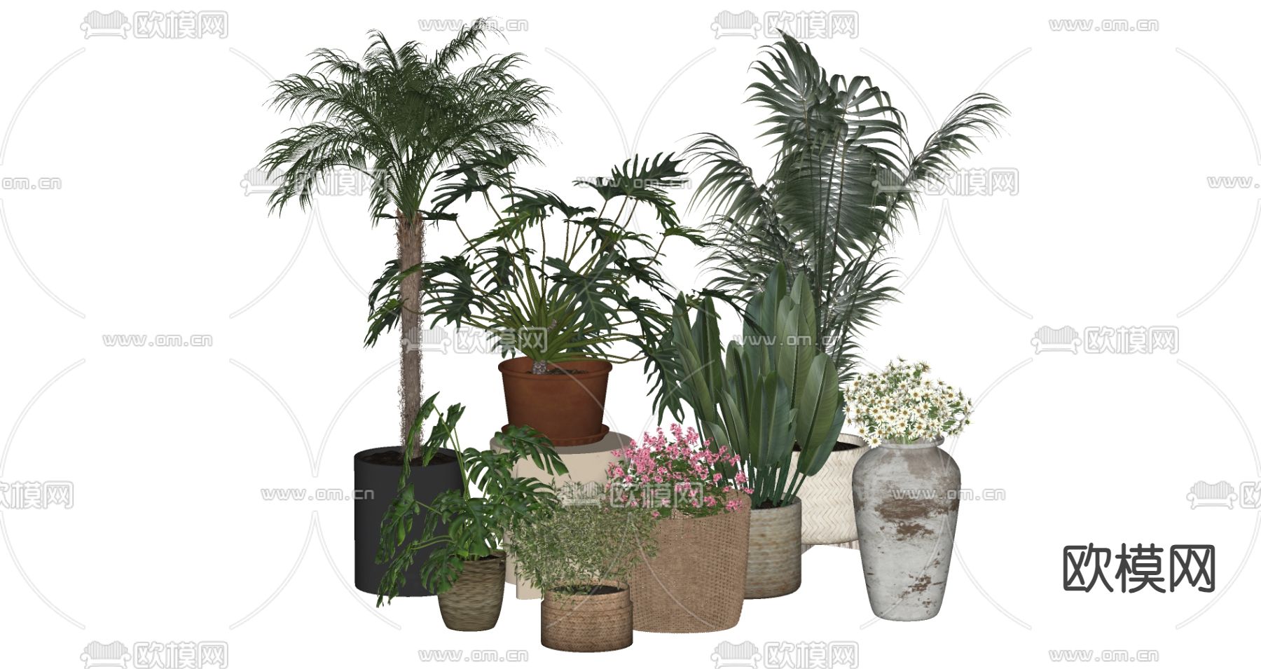绿植 盆栽 盆景su模型下载（渲染图2）