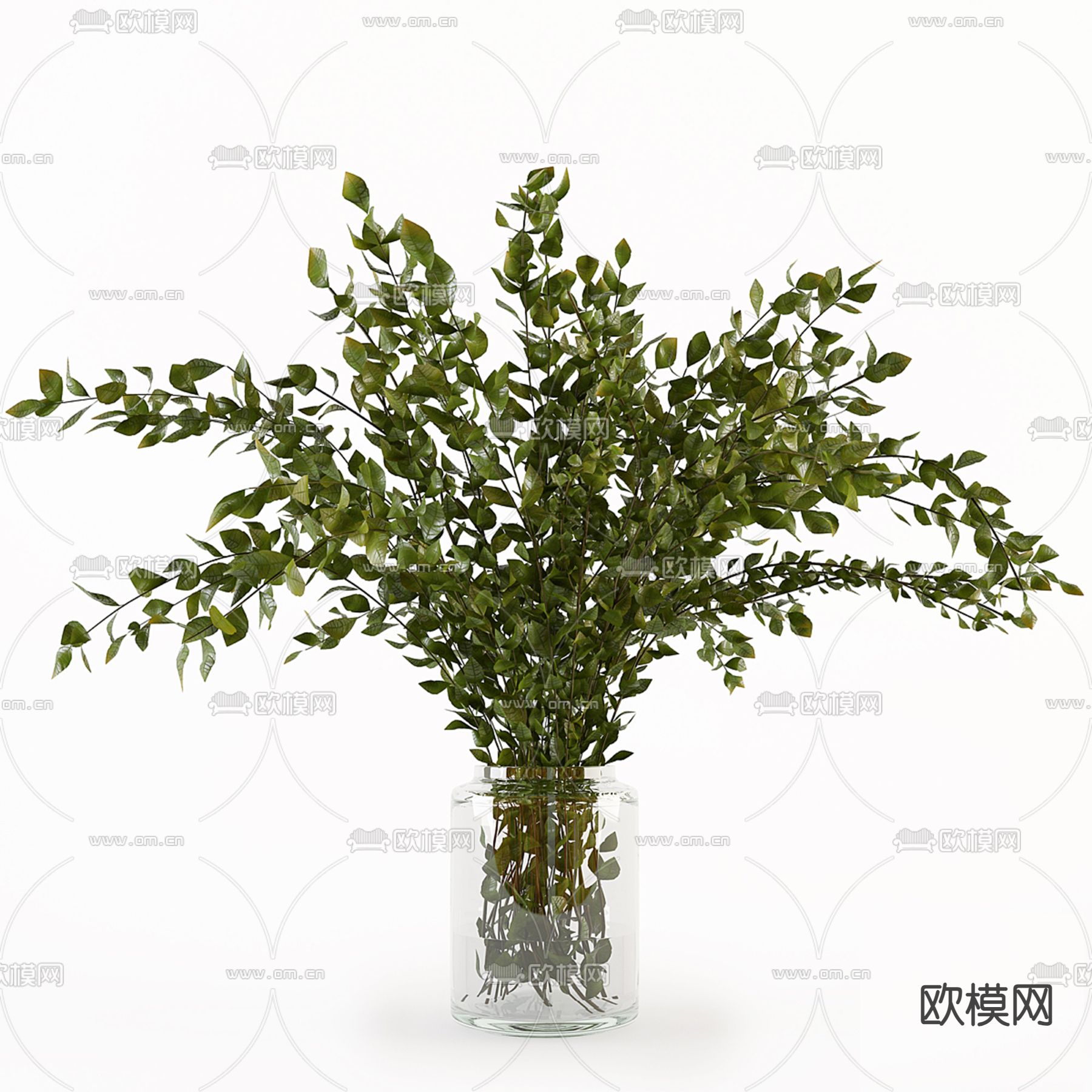 水生植物 水培绿植3d模型下载
