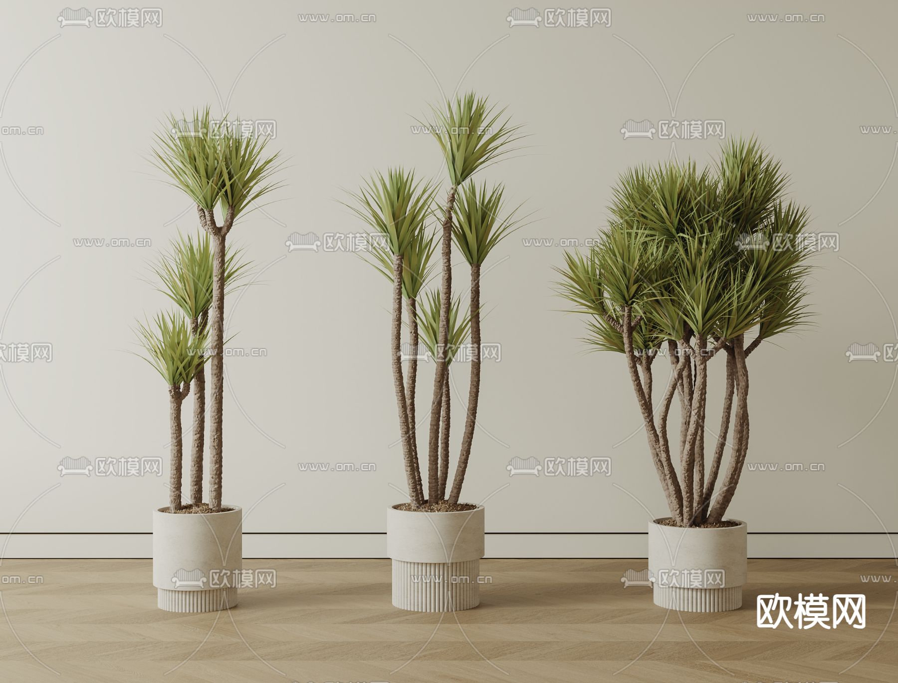 现代盆栽su模型下载（渲染图2）