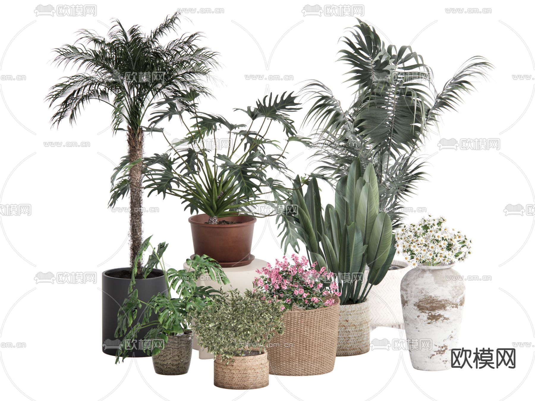 绿植 盆栽 盆景su模型下载（渲染图1）
