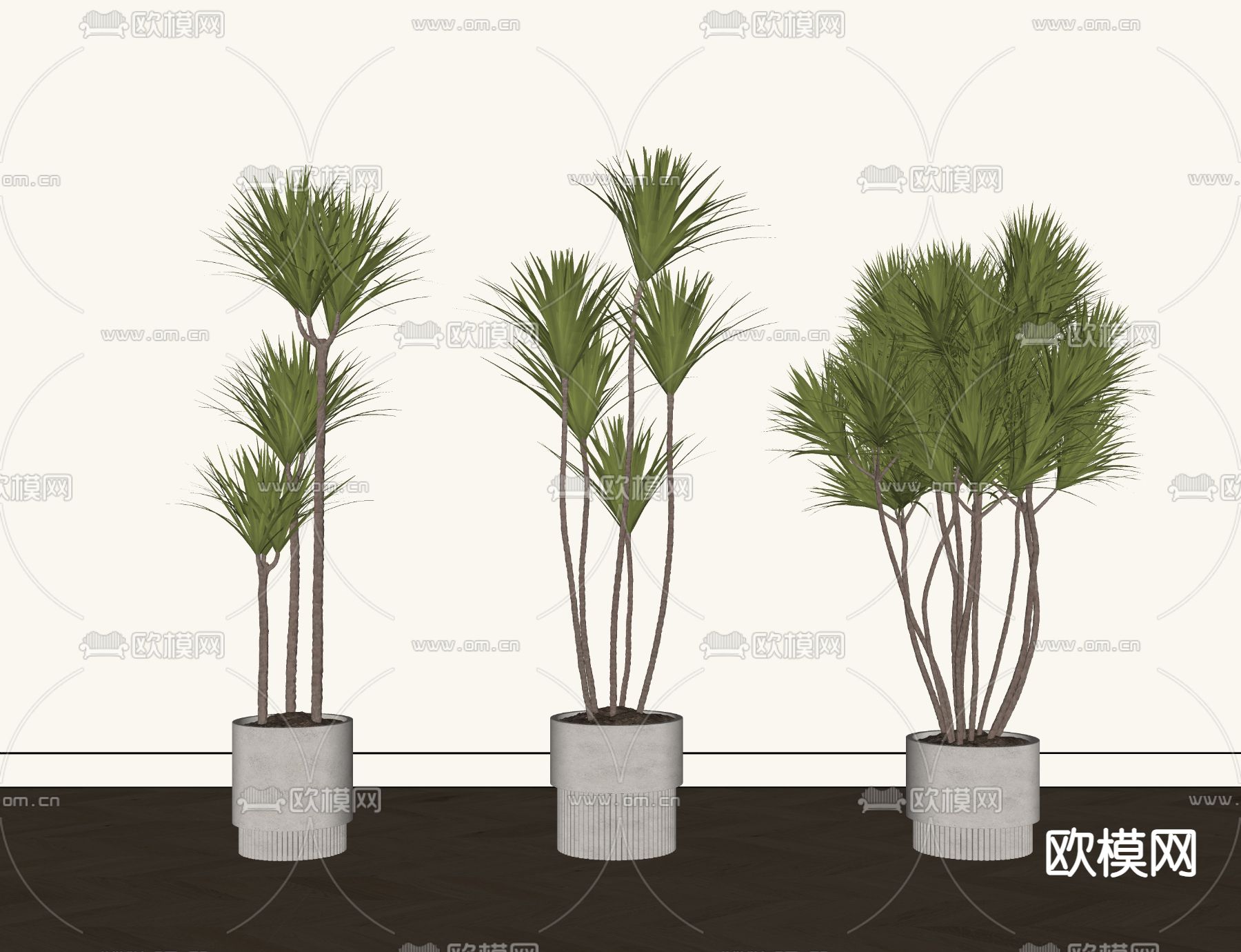 现代盆栽su模型下载（渲染图1）