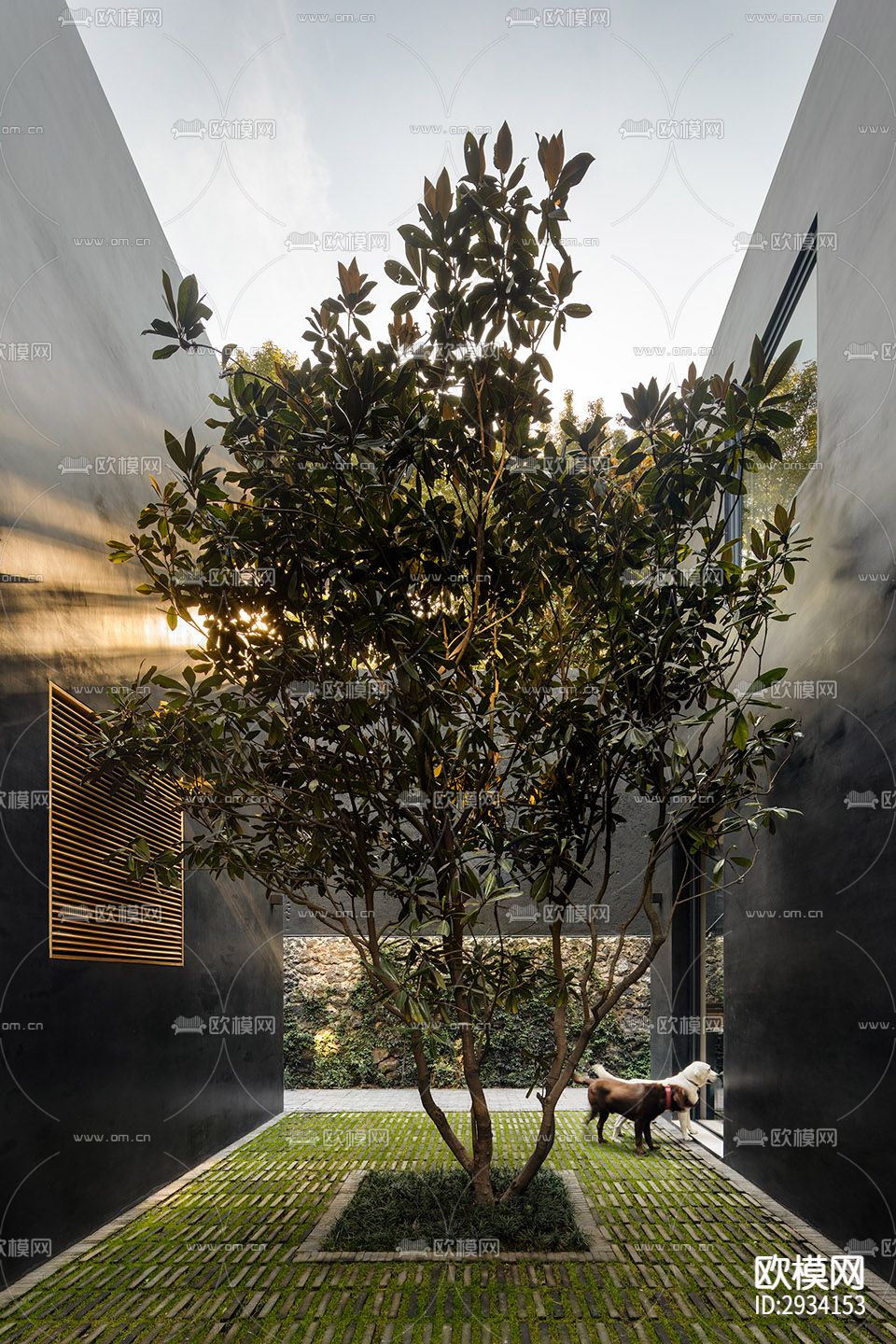 现代别墅效果图下载（渲染图16）