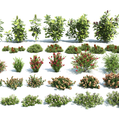  花卉灌木 花带 球形植物su模型 