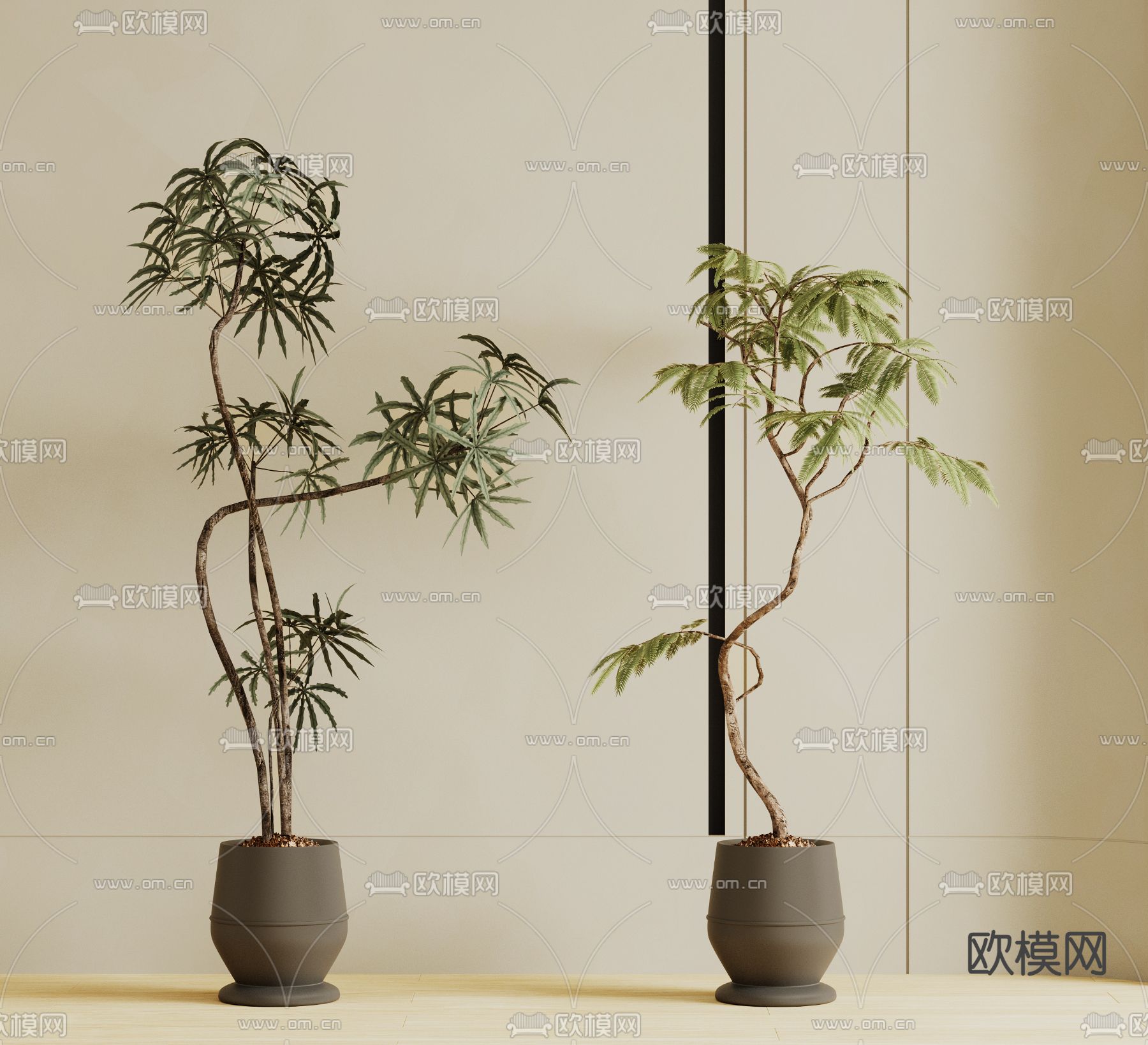 蕨类盆栽 盆景su模型下载（渲染图1）