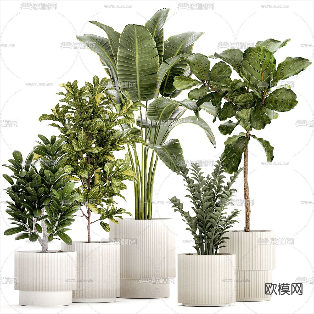 盆栽 盆景 绿植3d模型下载