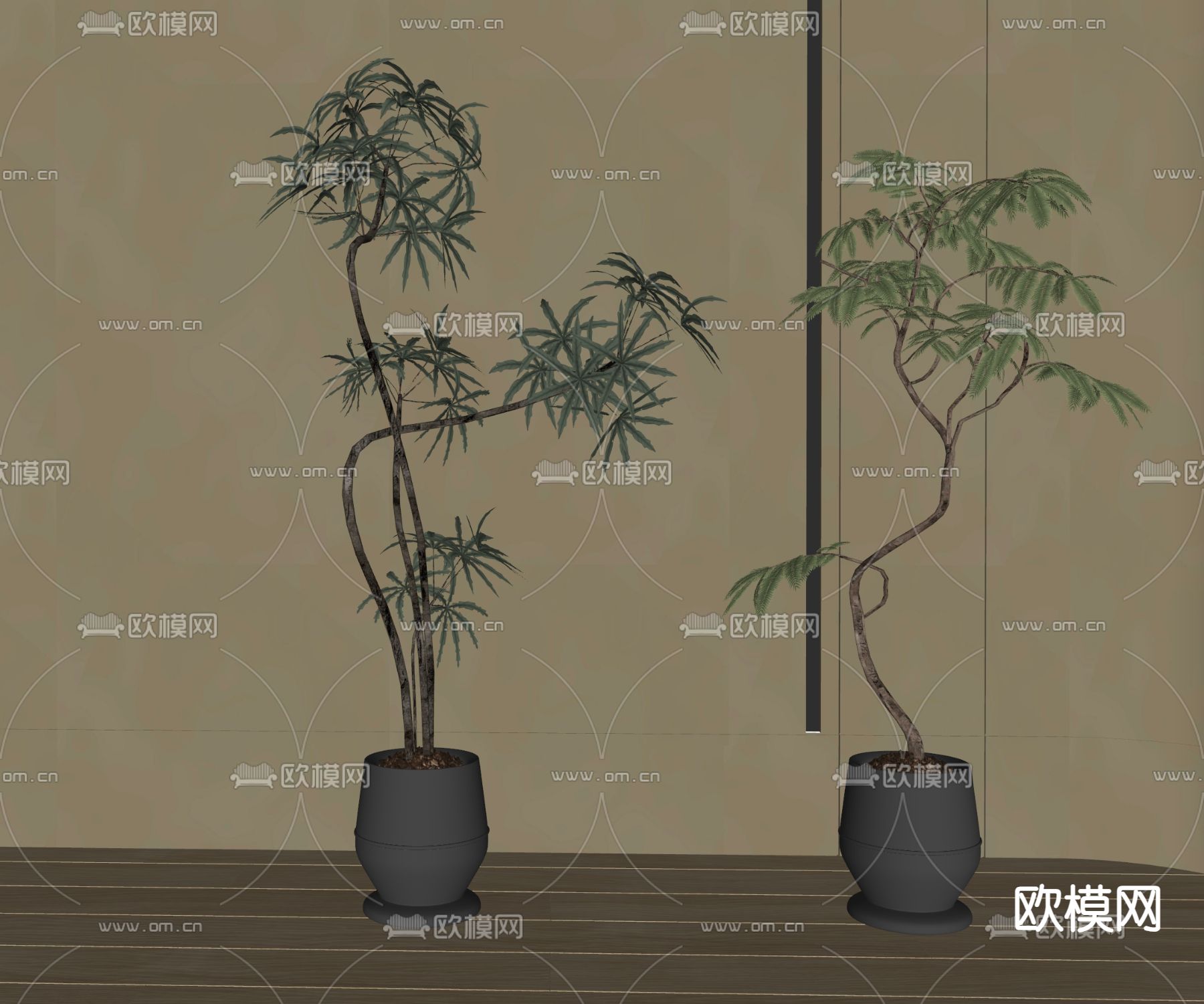 蕨类盆栽 盆景su模型下载（渲染图2）