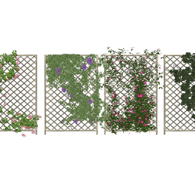  牵牛花 藤曼su模型 
