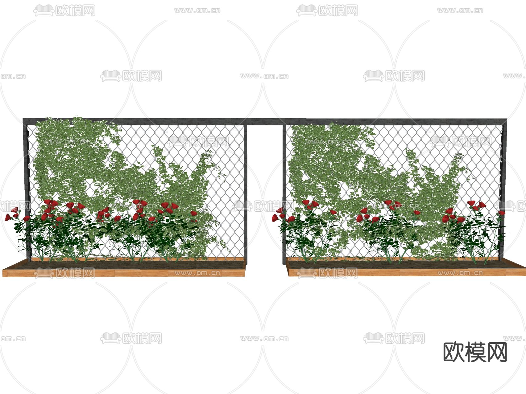 牵牛花 藤本植物su模型下载