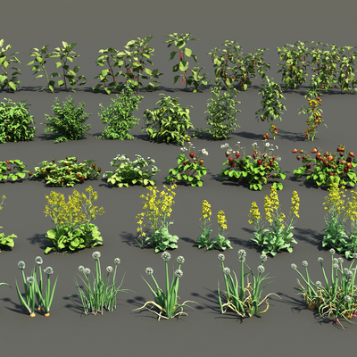  花草 油菜花 草莓 辣椒 小柿子su模型 