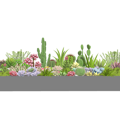  仙人掌 仙人球su模型 