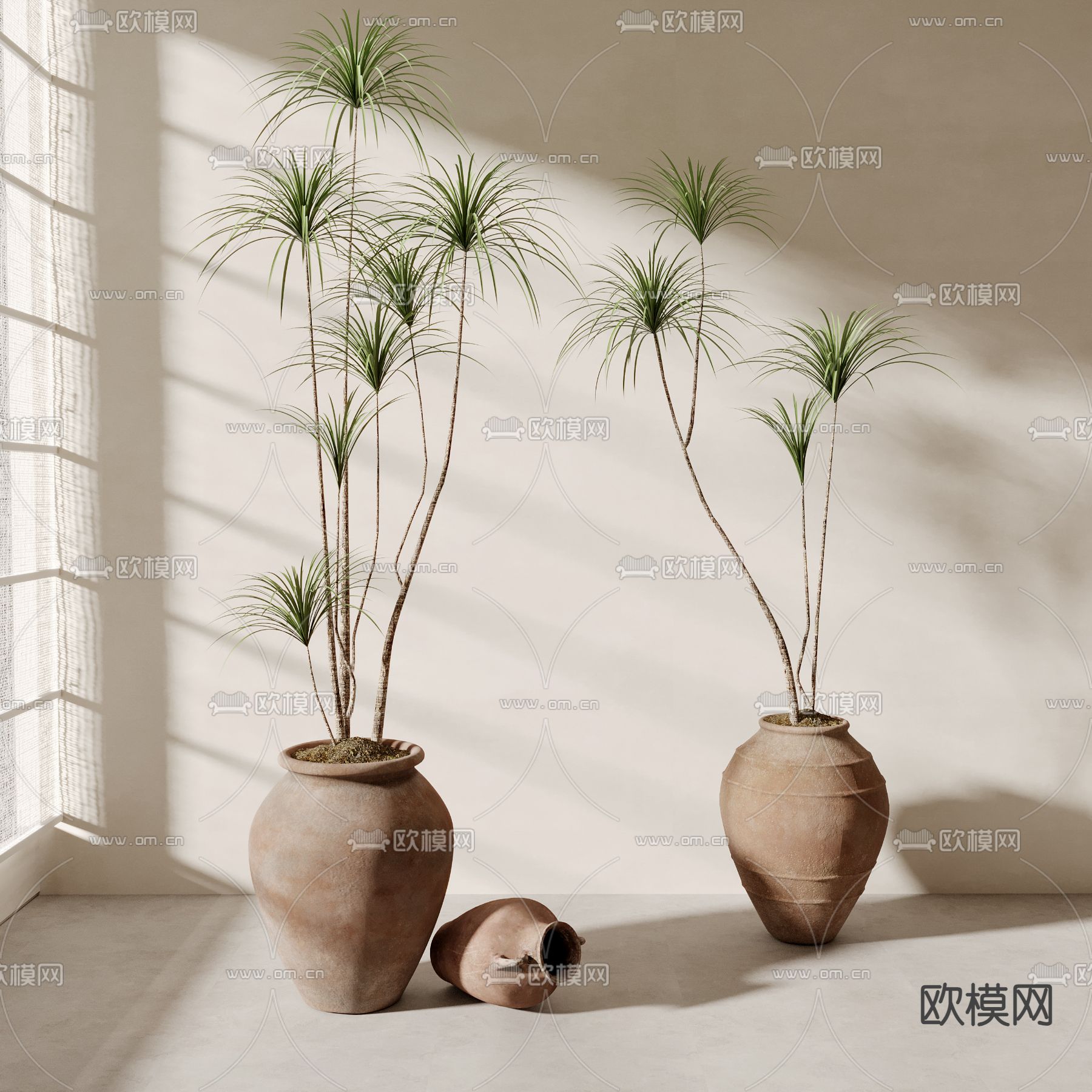 千年木盆栽 盆景 绿植3d模型下载