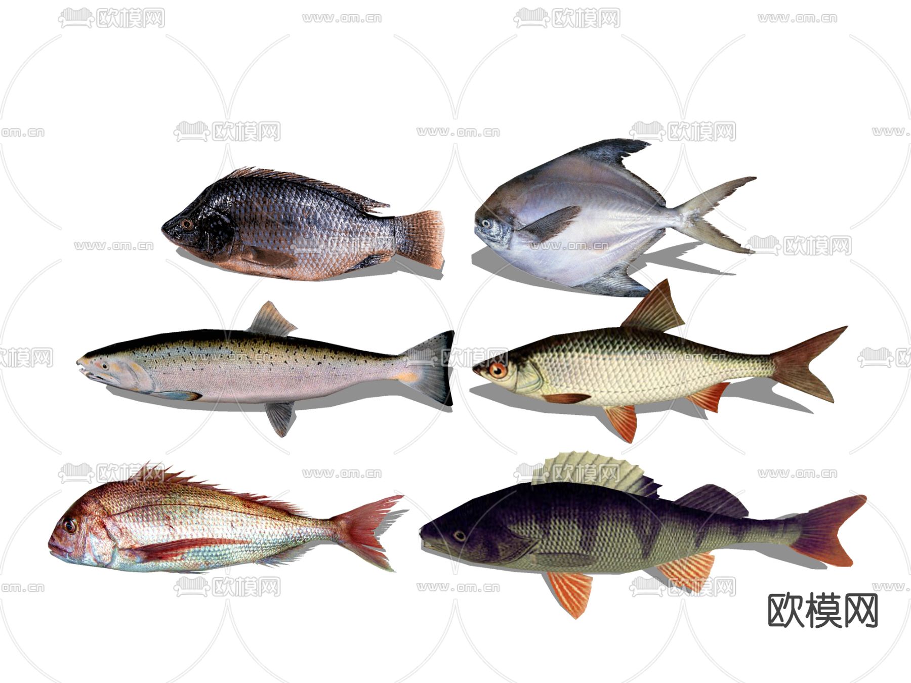 海鱼 海鲜su模型下载