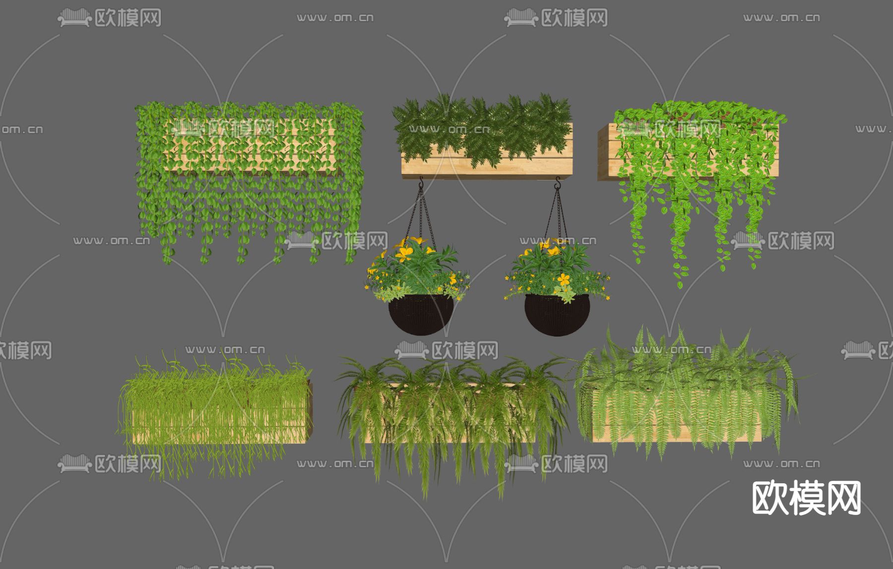 吊挂植物su模型下载（渲染图1）