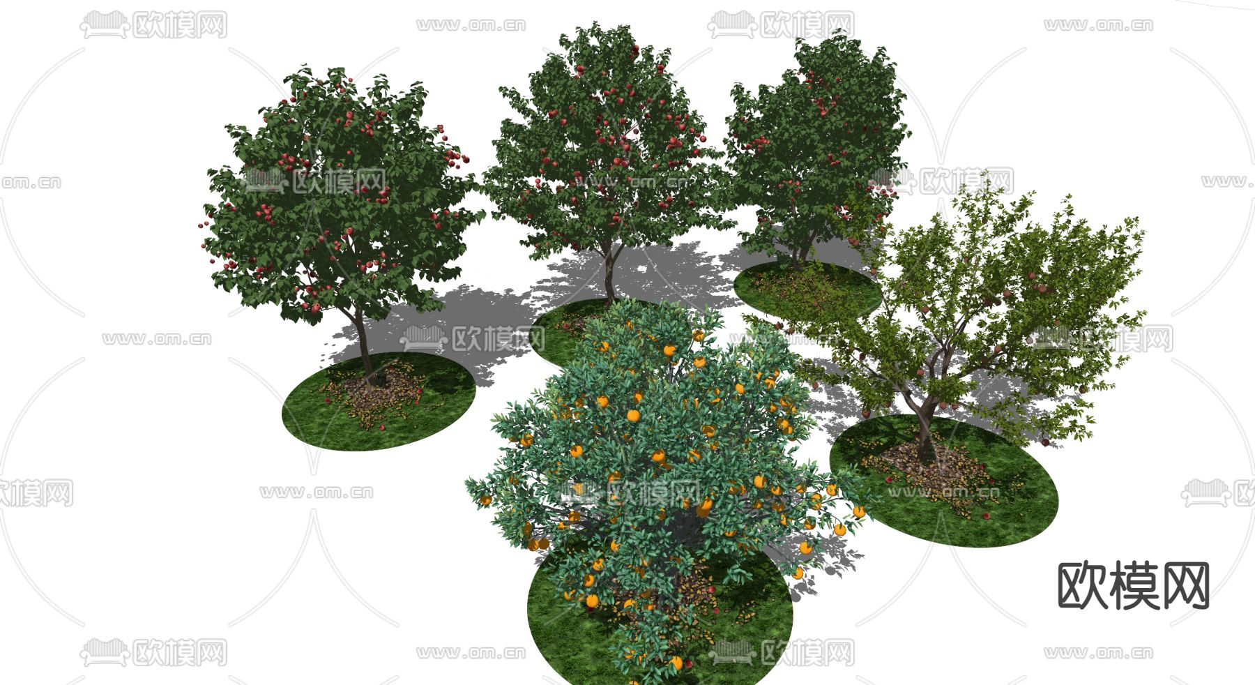果树su模型下载（渲染图1）