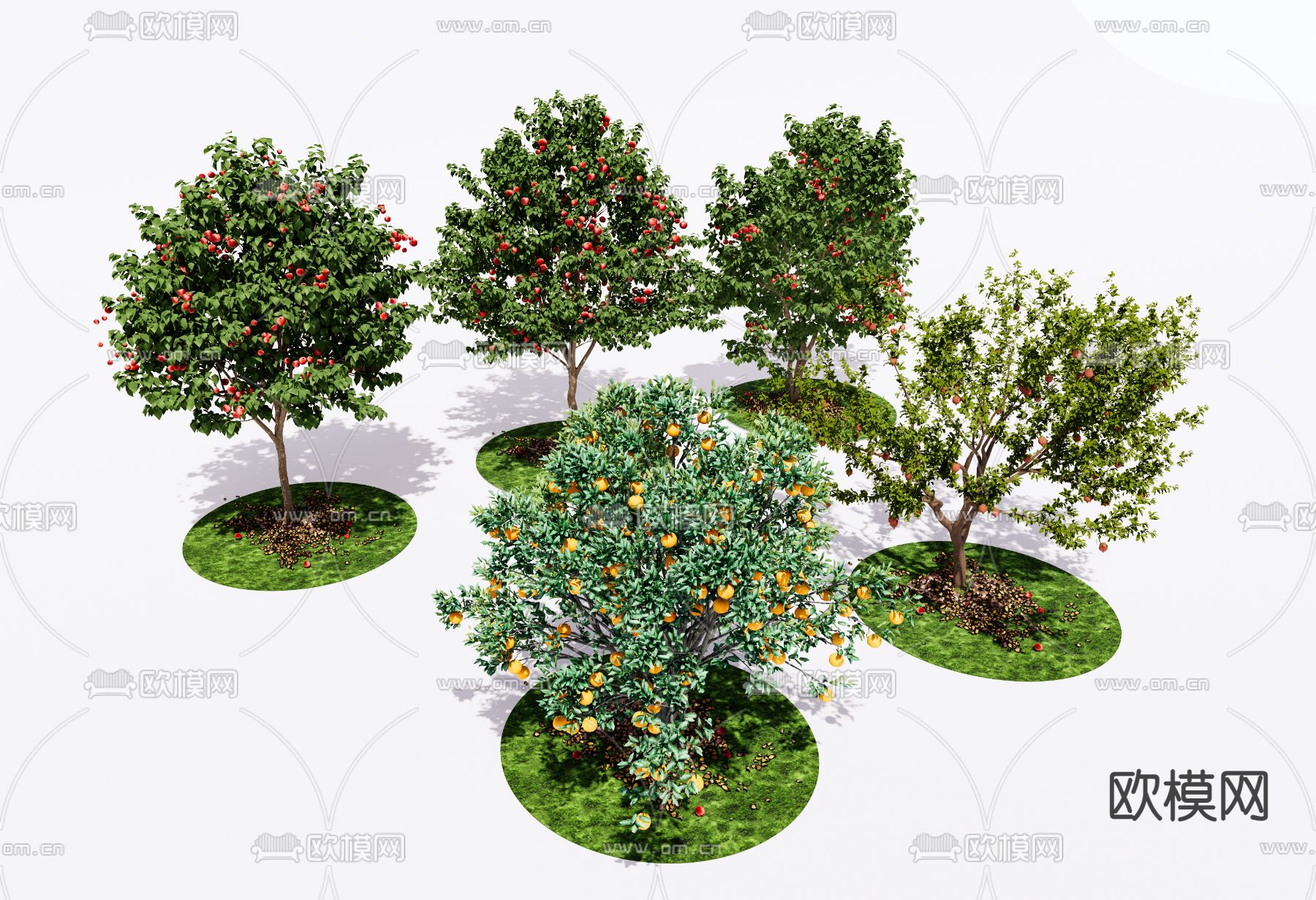 果树su模型下载（渲染图2）