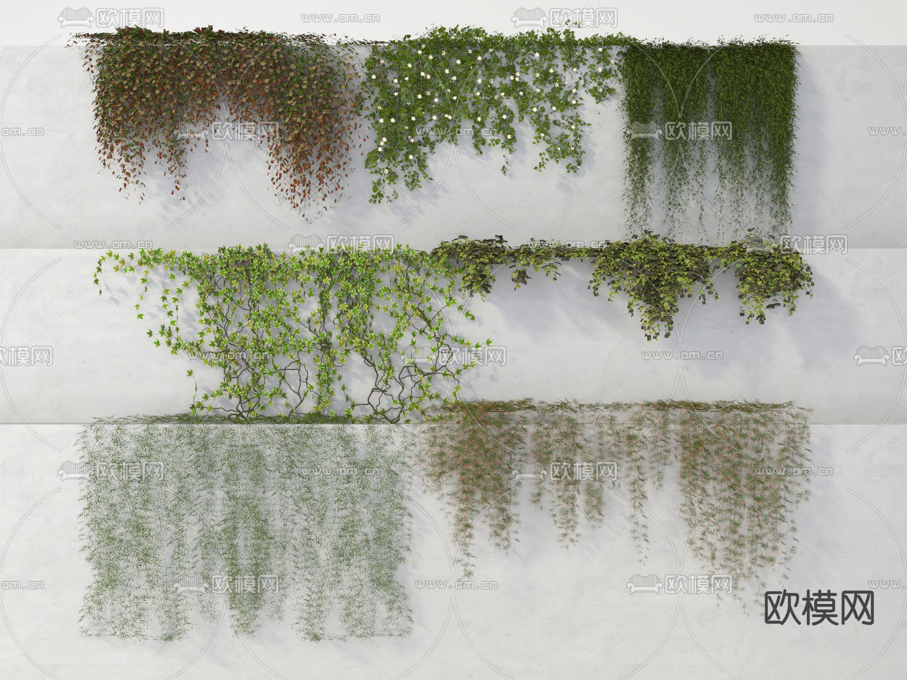 藤蔓 爬山虎 常春藤3d模型下载