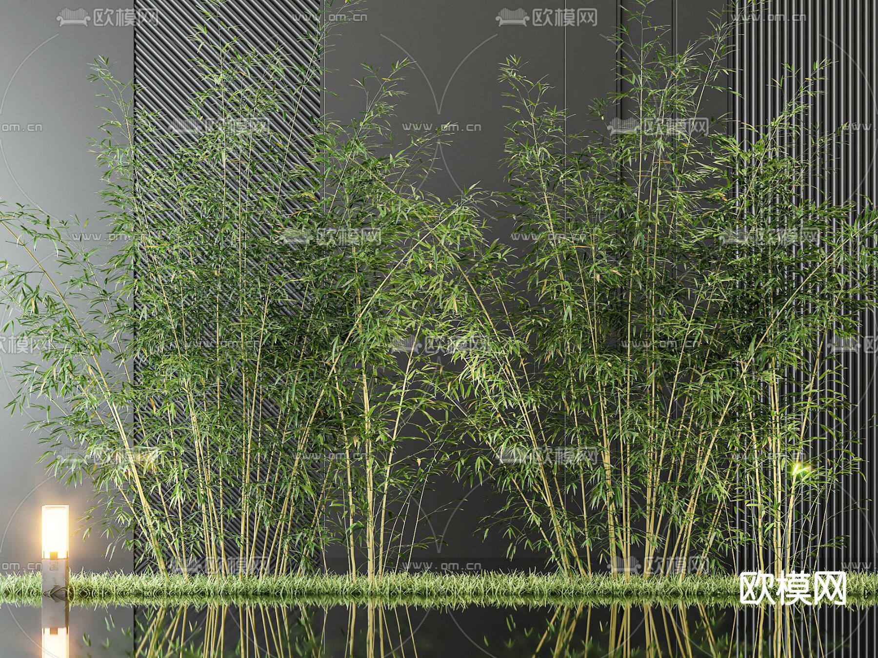 竹子 富贵竹 翠竹3d模型下载