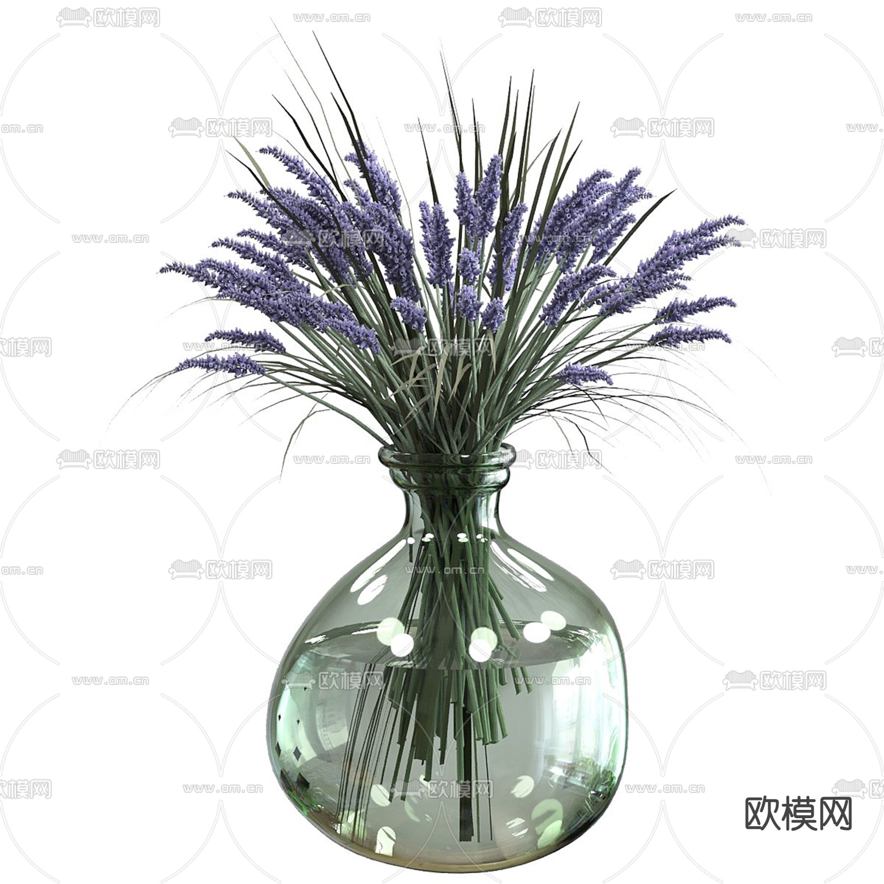 水生植物 水培绿植 薰衣草3d模型下载