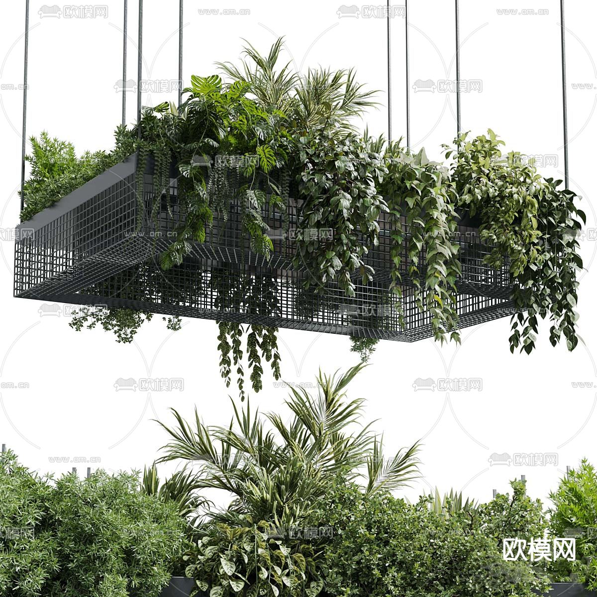 悬挂绿植 吊篮 吊挂盆栽3d模型下载（渲染图2）