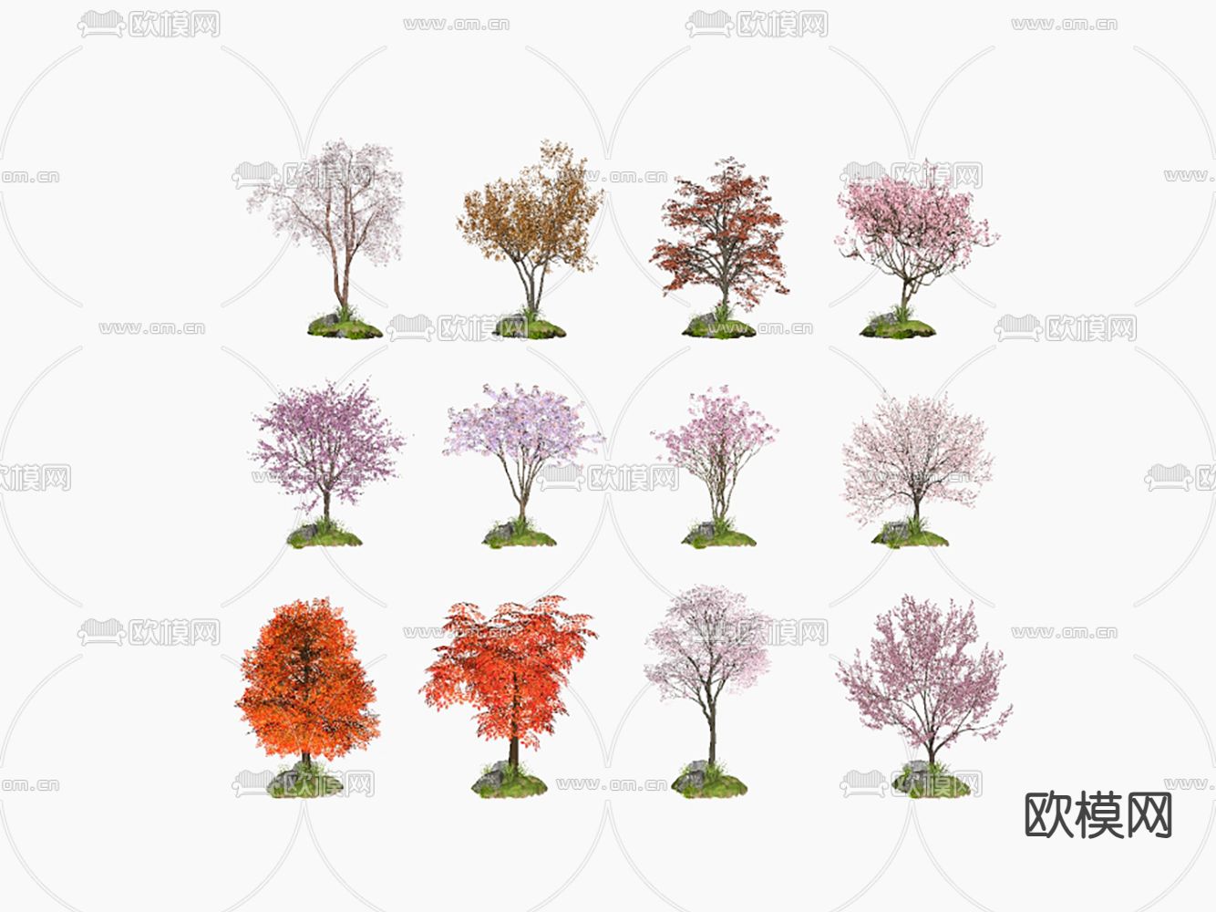 景观树 樱花 枫叶su模型下载（渲染图1）