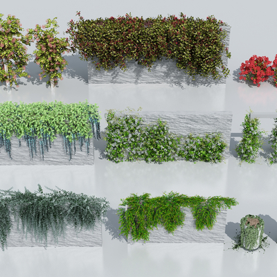  绿植藤蔓 爬山虎su模型 