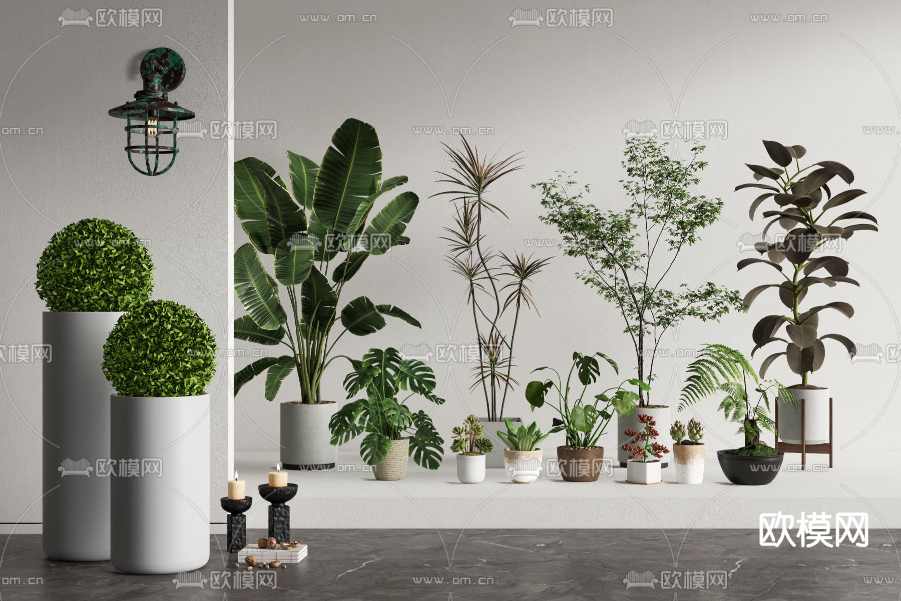 绿植盆栽 盆景su模型下载（渲染图1）