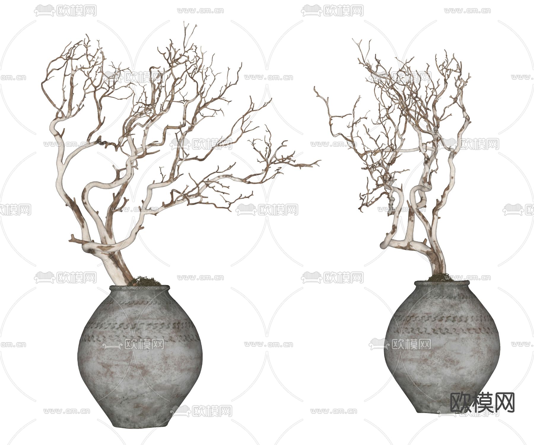 干枝陶罐摆件 罐子su模型下载（渲染图1）