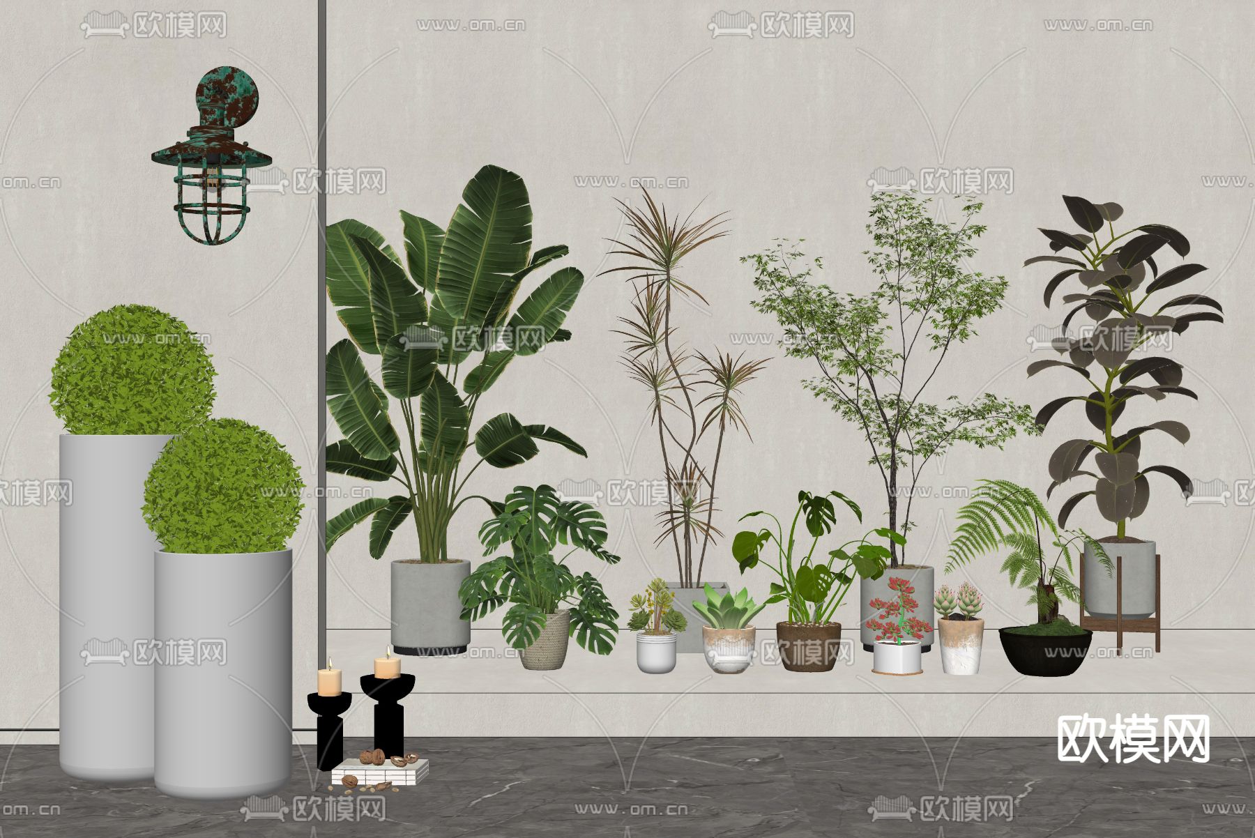 绿植盆栽 盆景su模型下载（渲染图2）