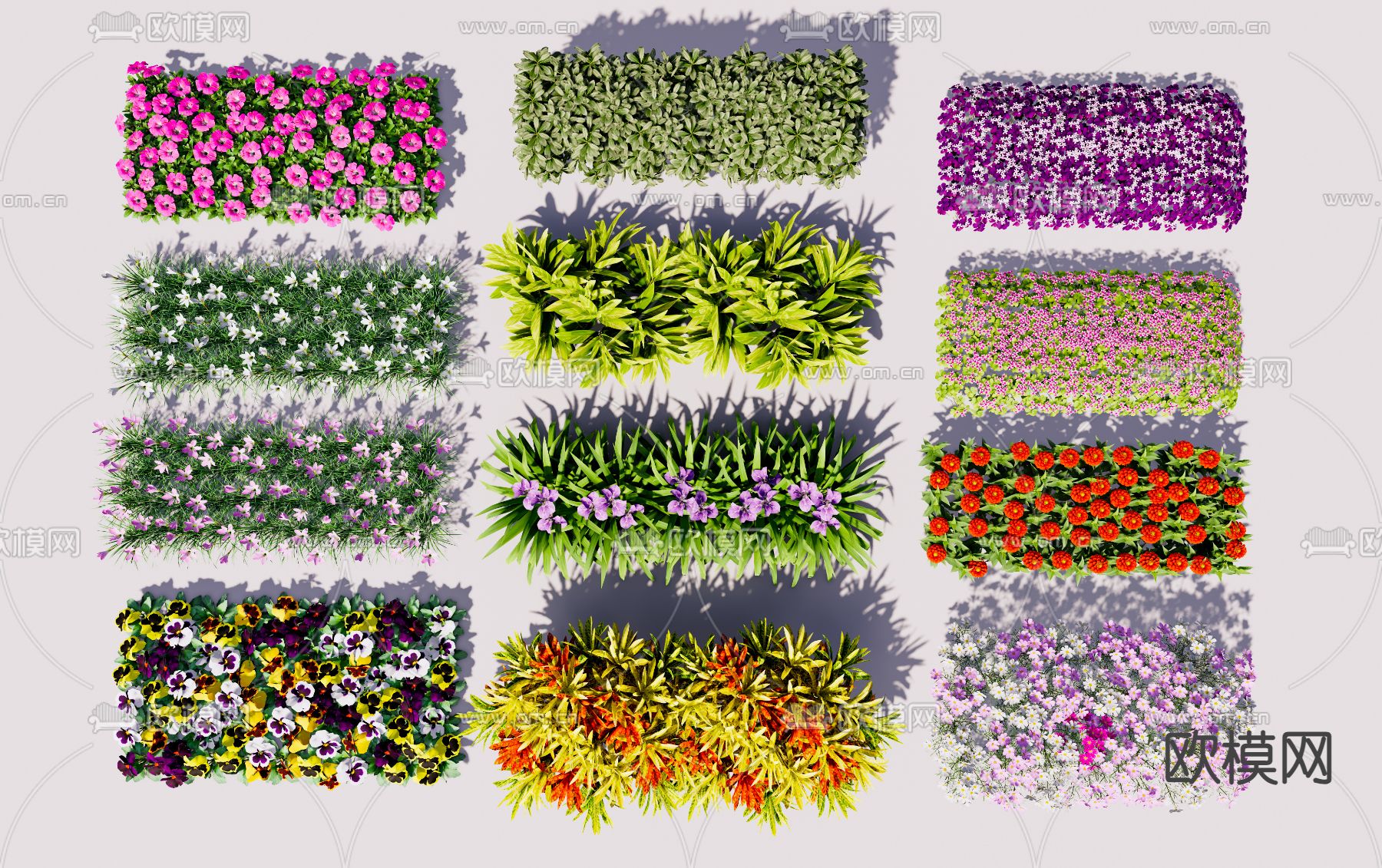 灌木丛 绿篱 花槽 三色堇 蔷薇su模型下载（渲染图1）