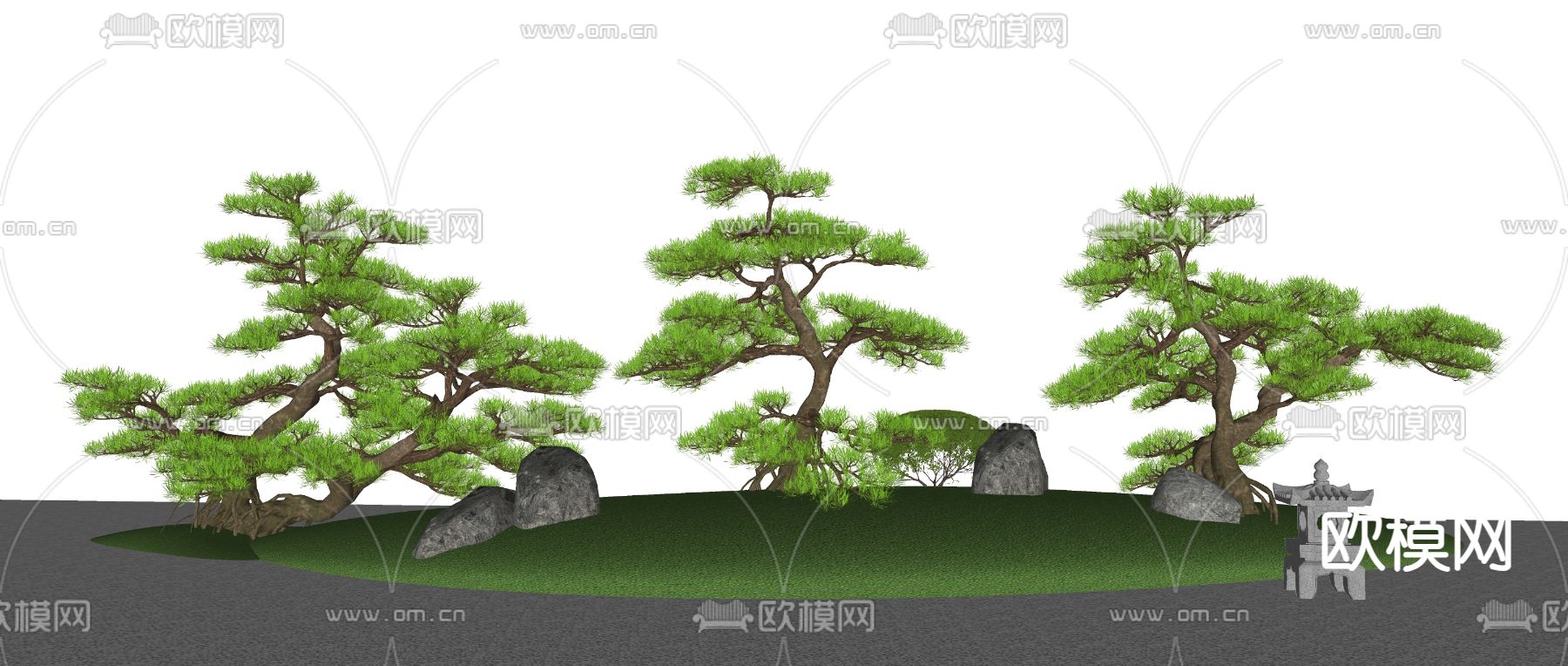 松树 造型松 景观树 大树 树木su模型下载（渲染图2）